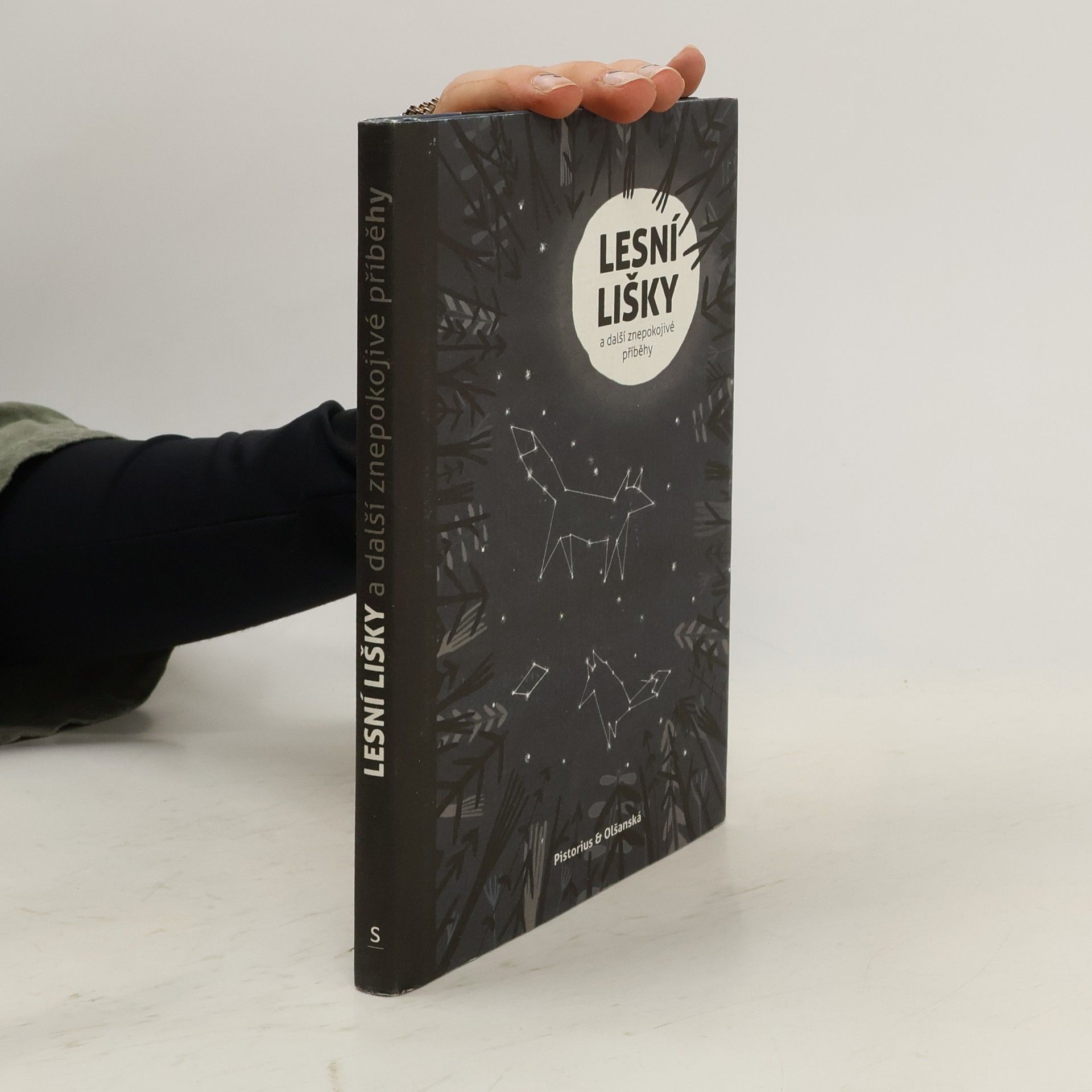 Autorenkollektiv Lesní lišky a další znepokojivé příběhy. Antologie finských fantastických povídek