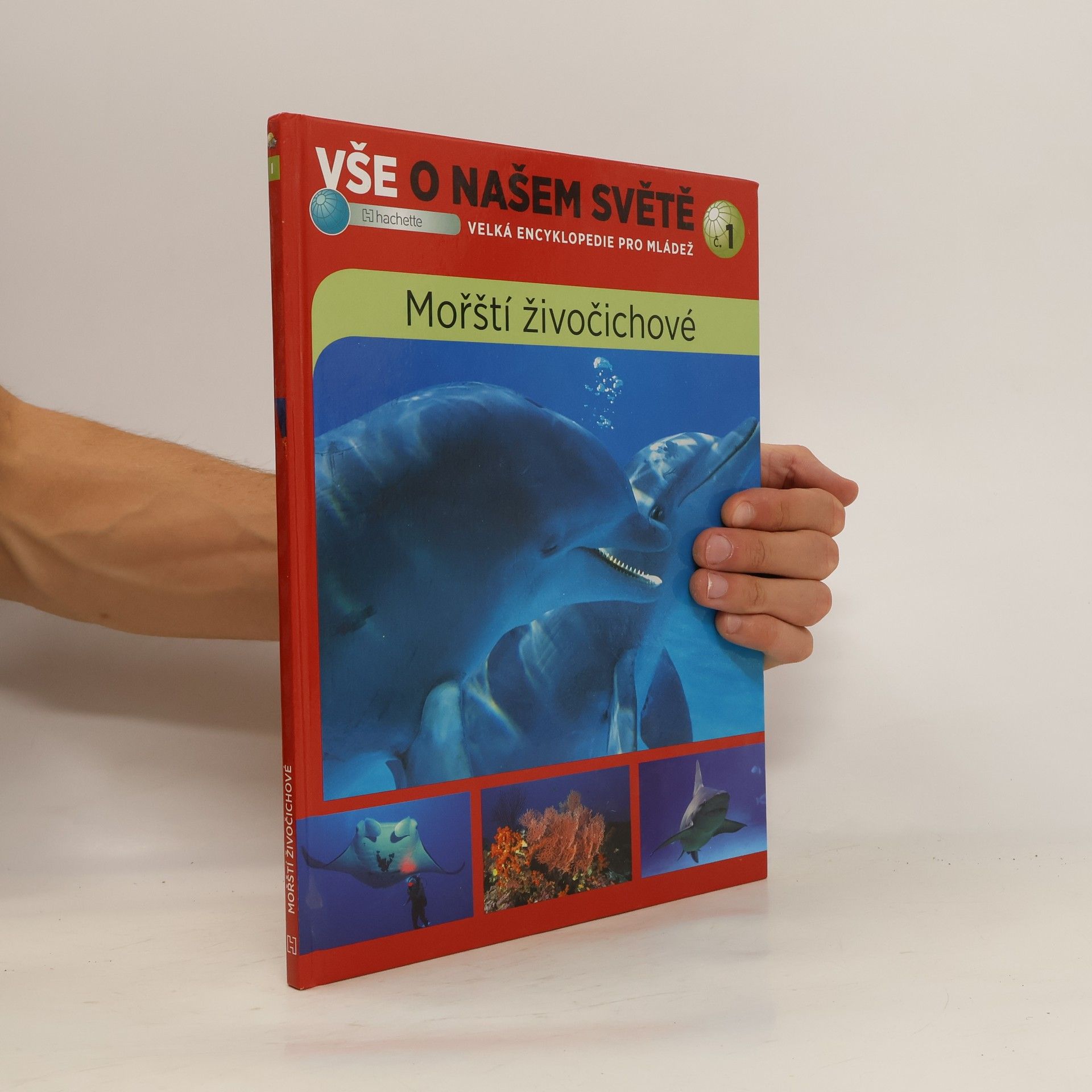 kolektiv Vše o našem světě 1: Mořští živočichové