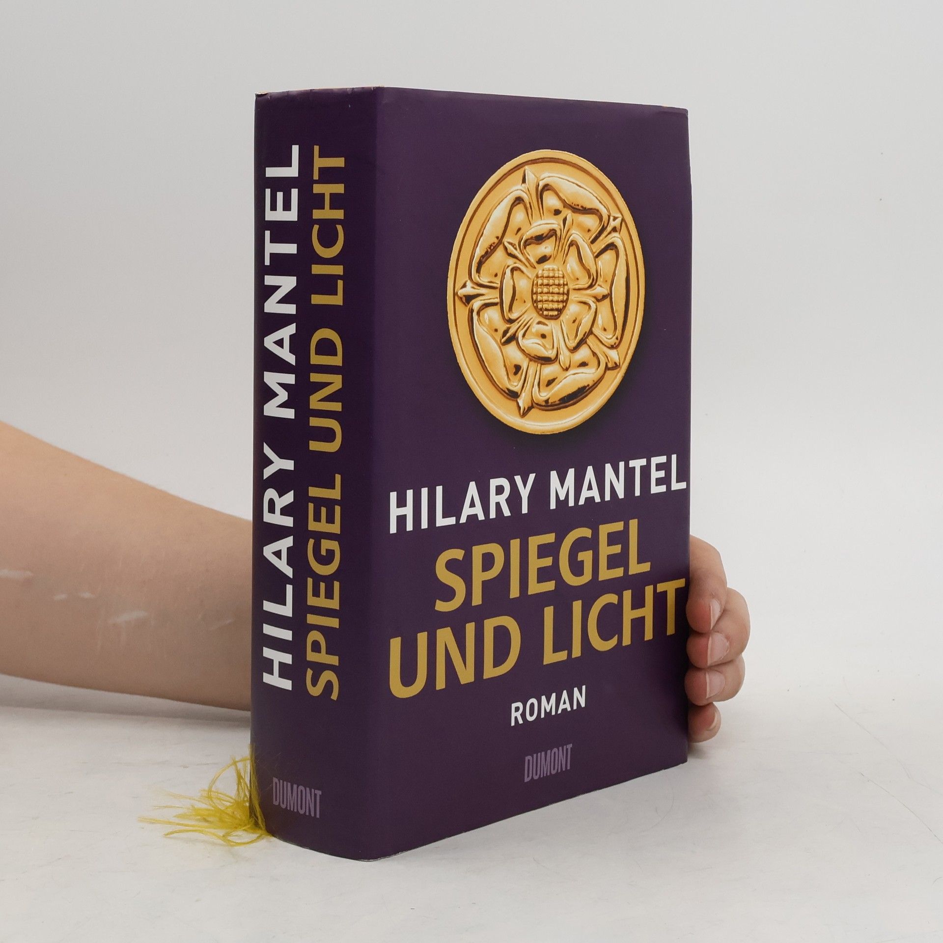Hilary Mantel Spiegel und Licht