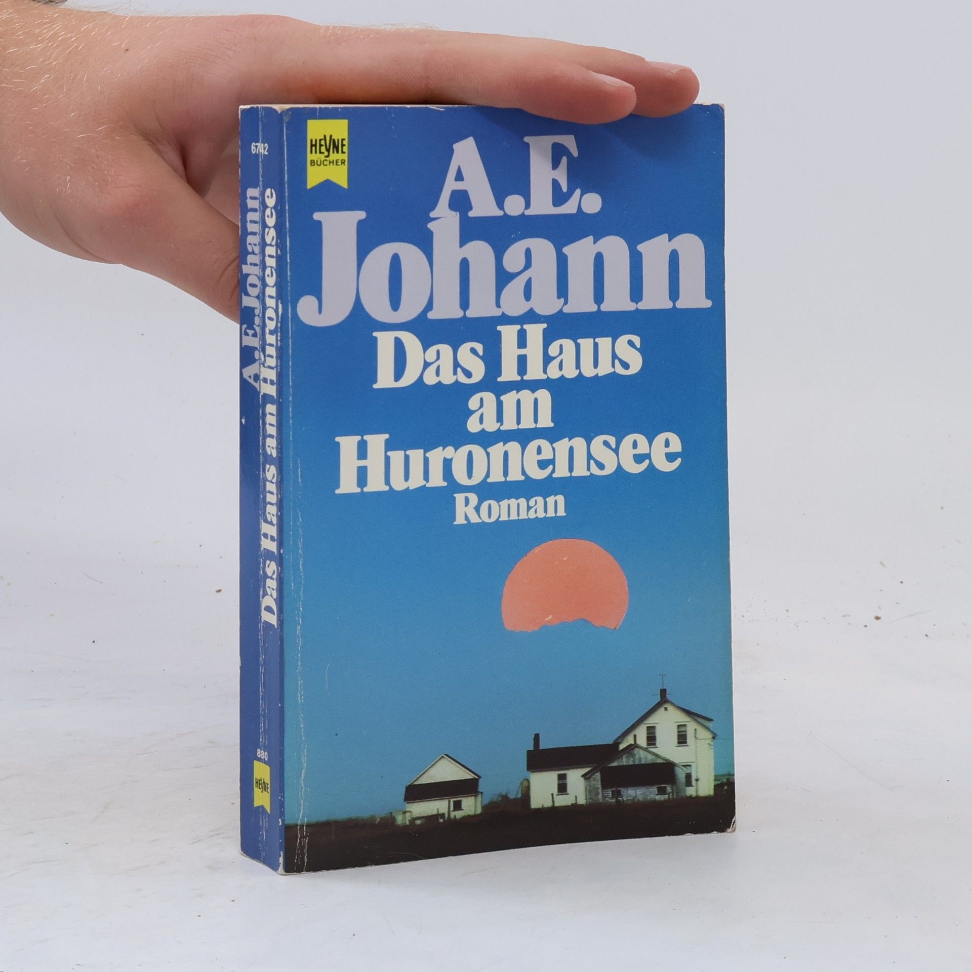 Alfred E. Johann Das Haus am Huronensee