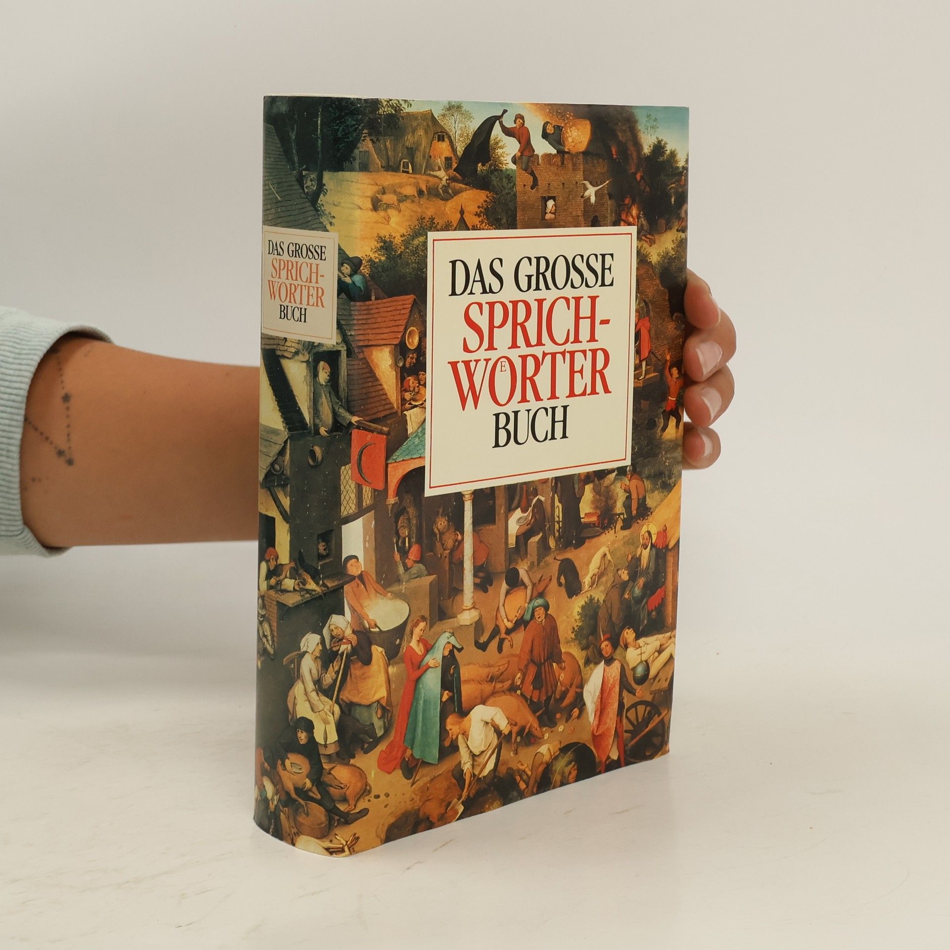 Collective Das Grosse Sprichworter Buch