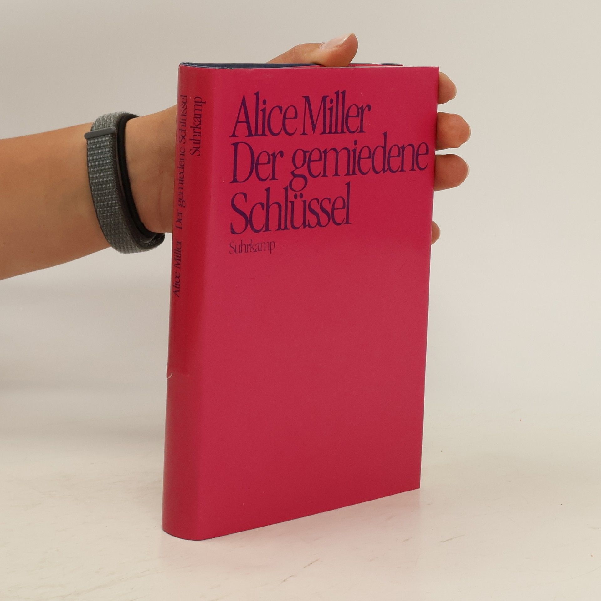 Alice Miller Der gemiedene Schlüssel