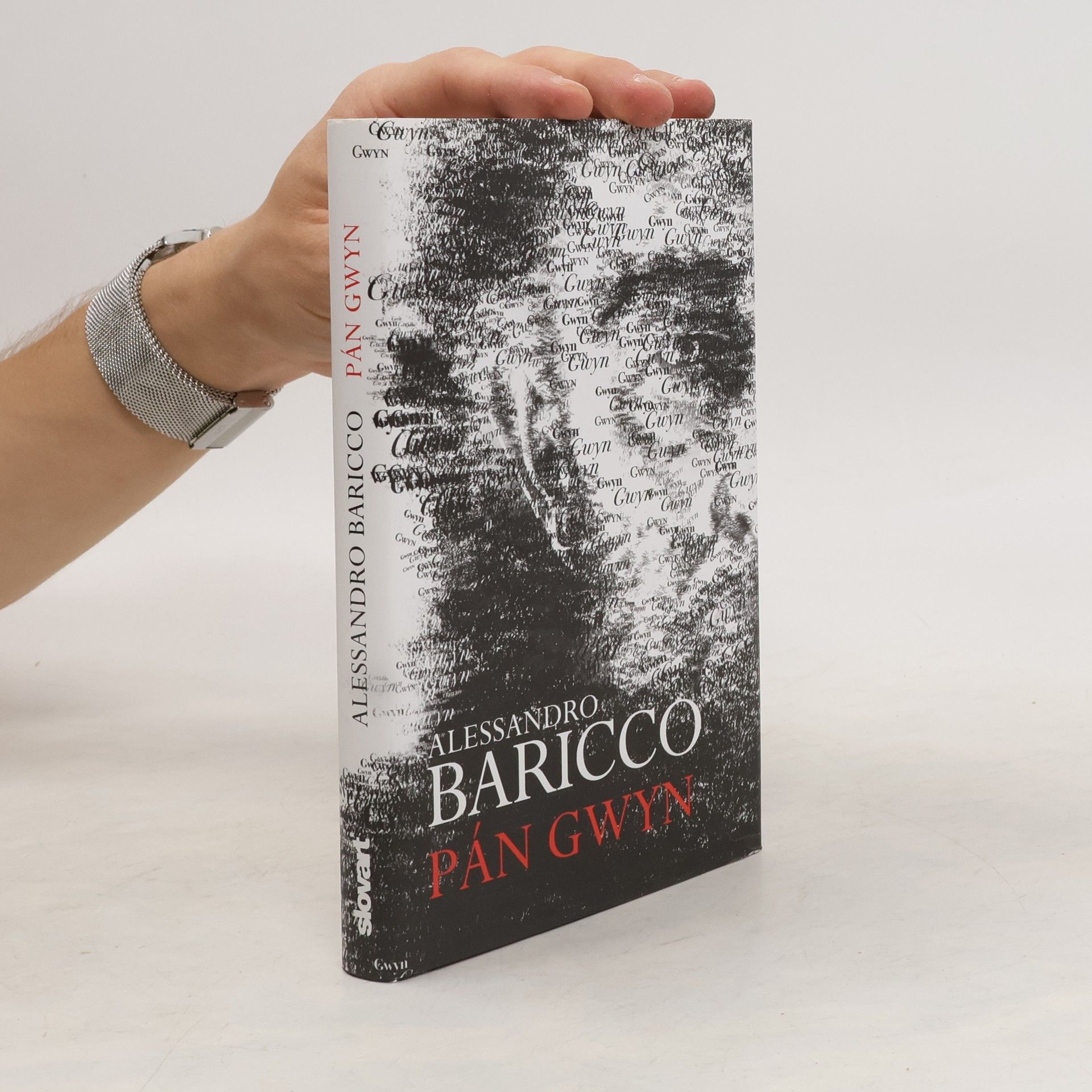 Alessandro Baricco Pán Gwyn
