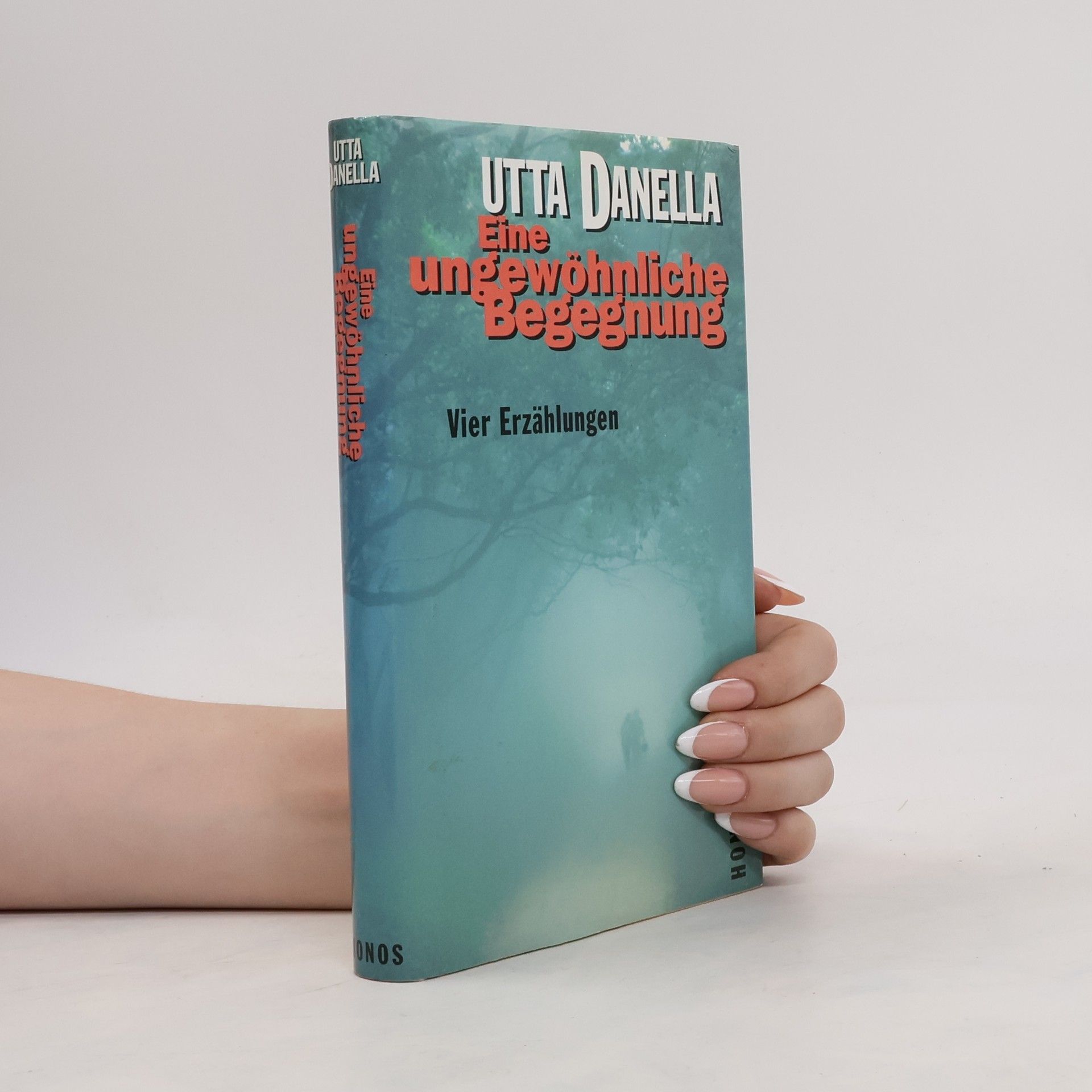 Utta Danella Eine ungewöhnliche Begegnung