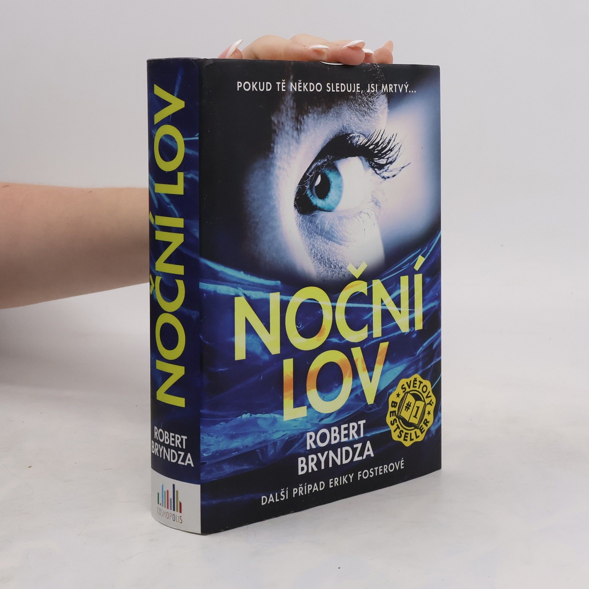 Robert Bryndza Noční lov