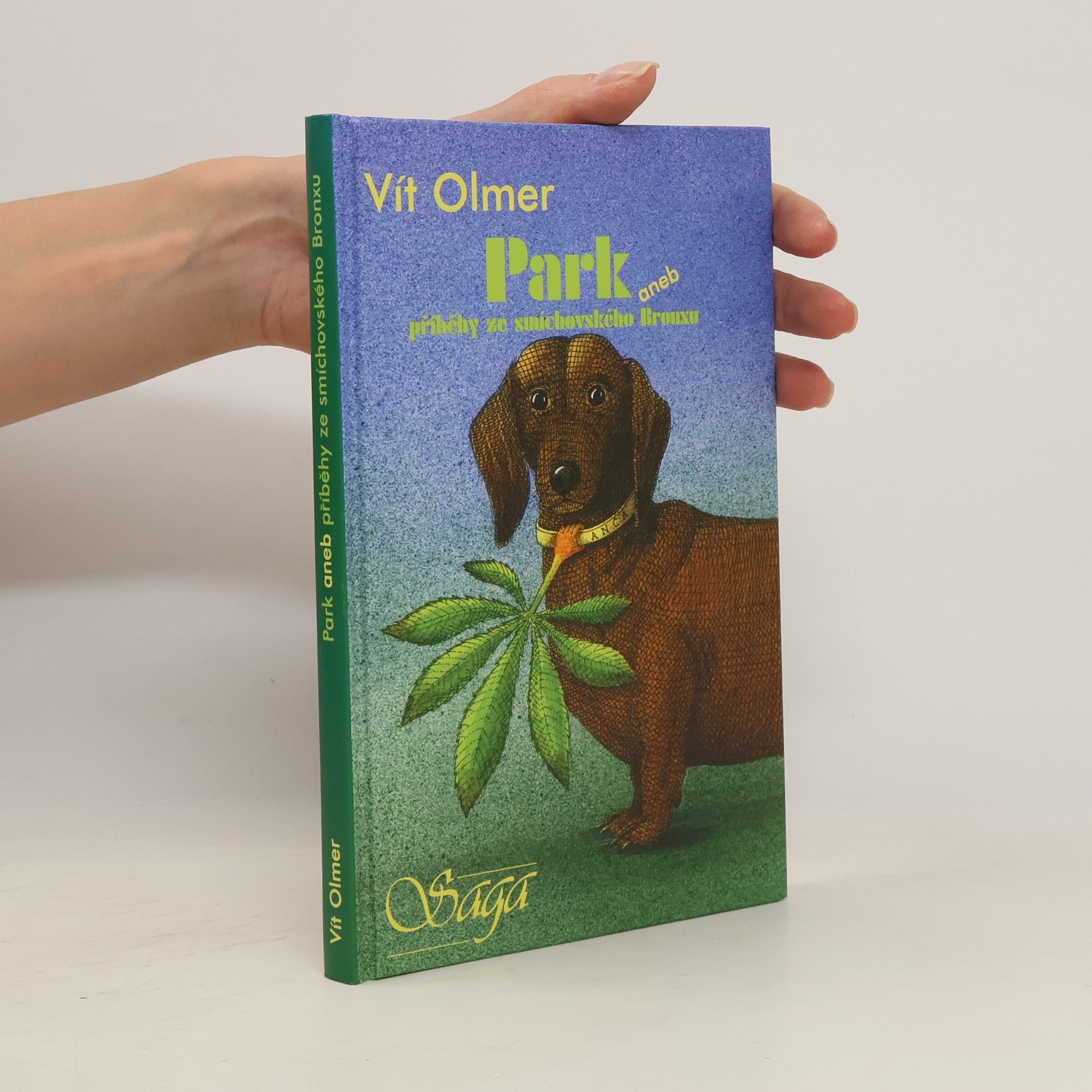Vít Olmer Park, aneb, Příběhy ze smíchovského Bronxu