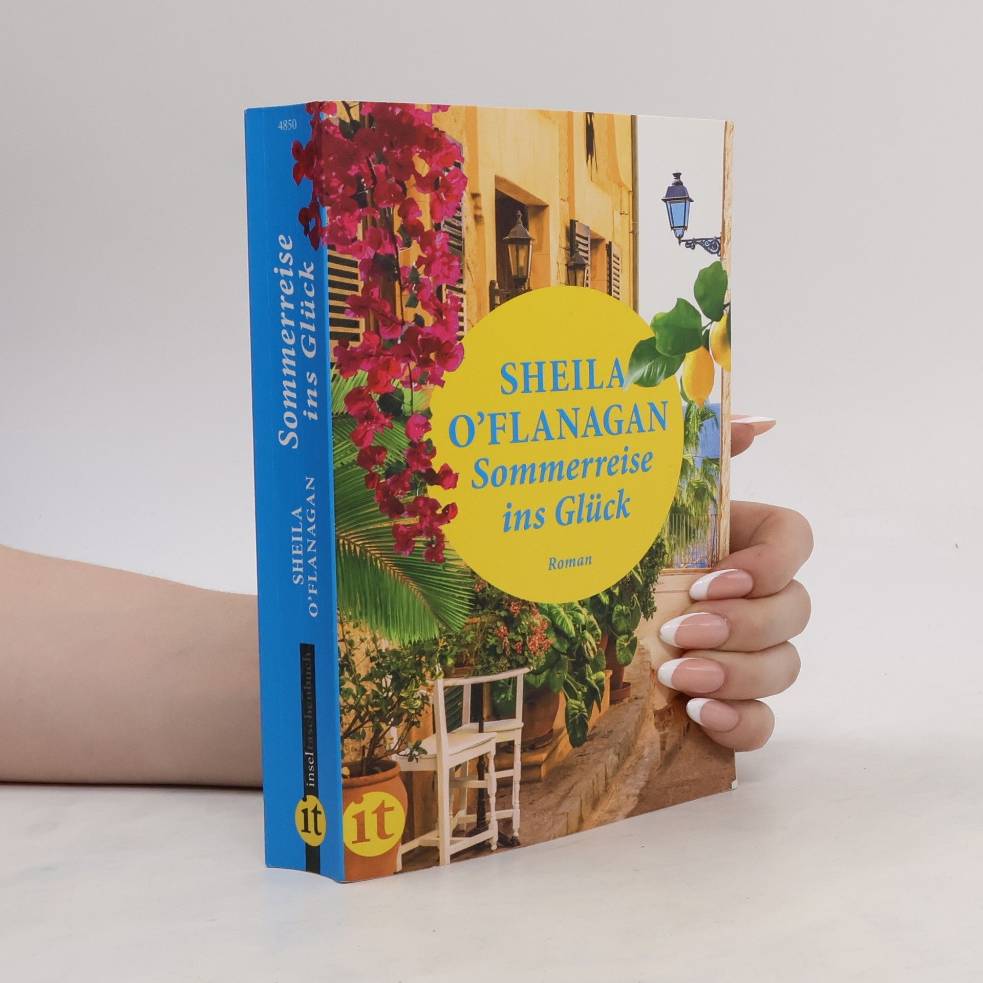Sheila O'Flanagan Sommerreise ins Glück