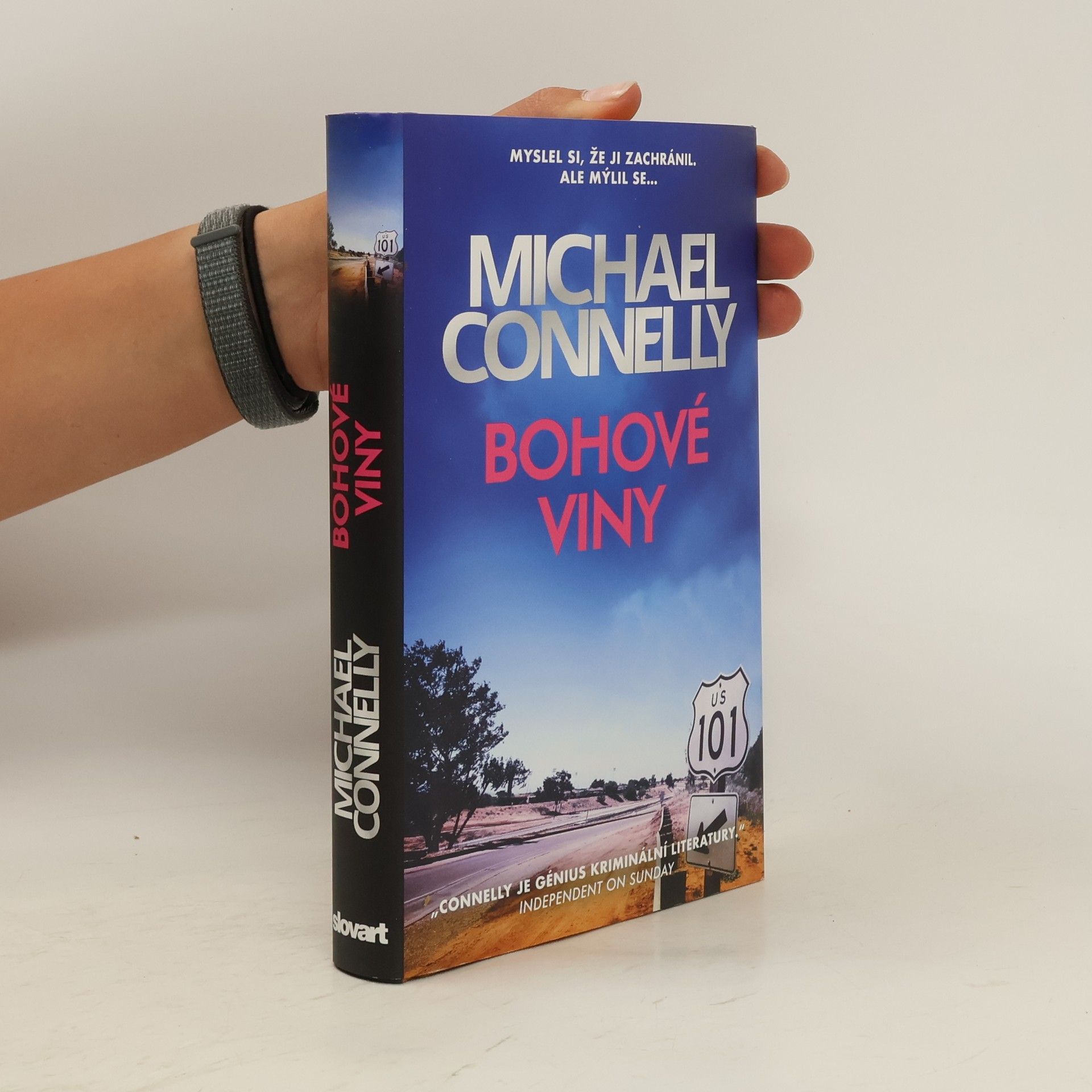 Michael Connelly Bohové viny