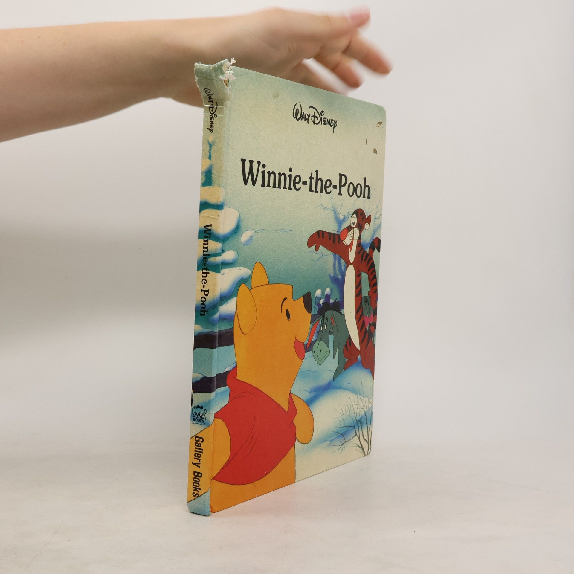 Autores varios Winnie the Pooh