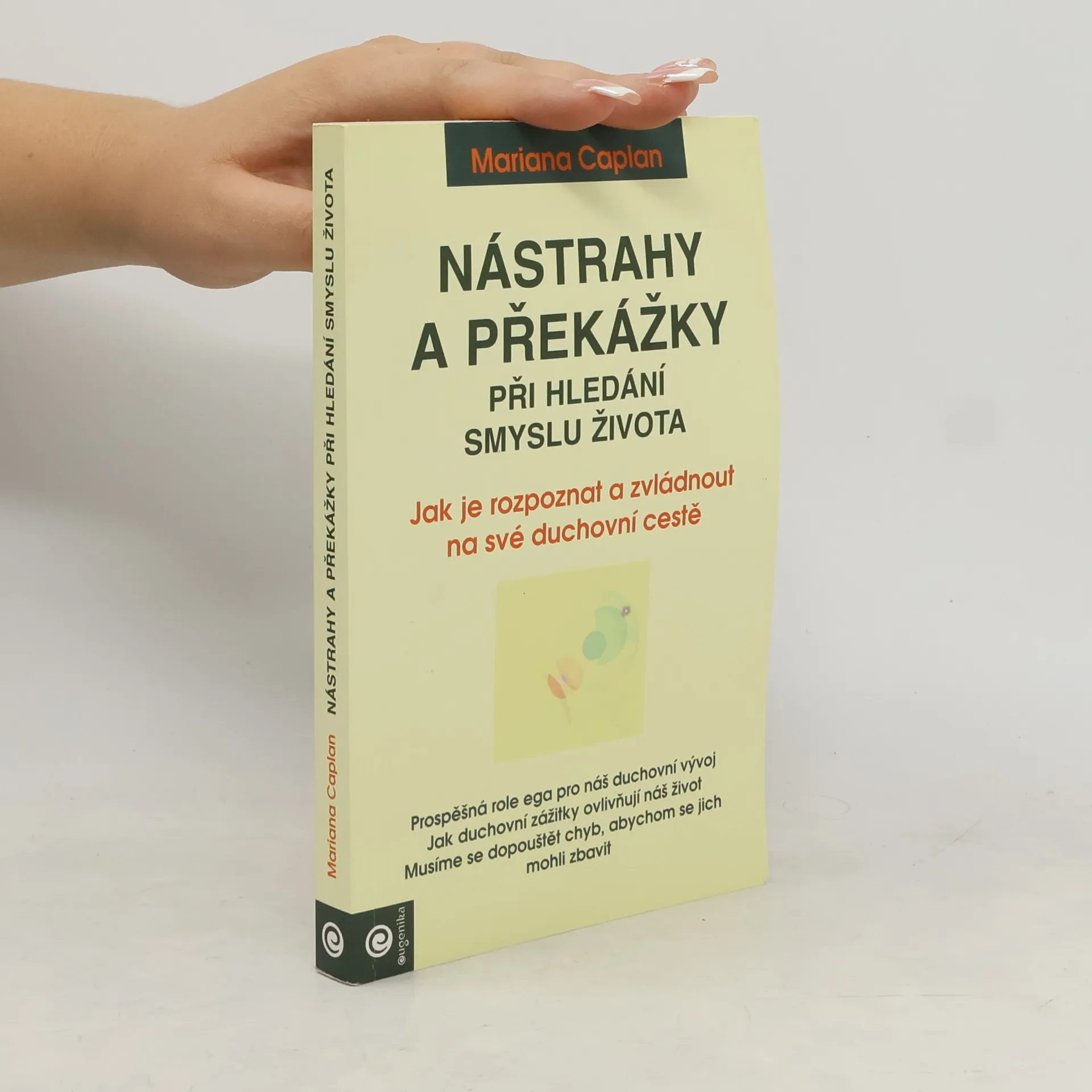 Nástrahy a překážky při hledání smyslu života | Kniha | mäkká | Mariana Caplan | CS