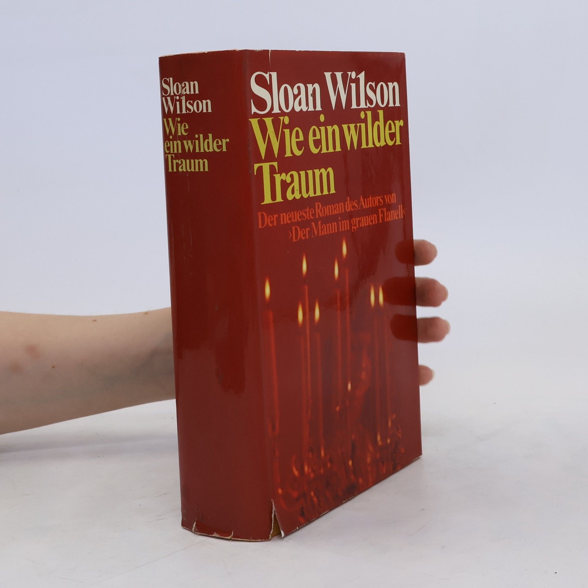 Sloan Wilson Wie ein wilder Traum