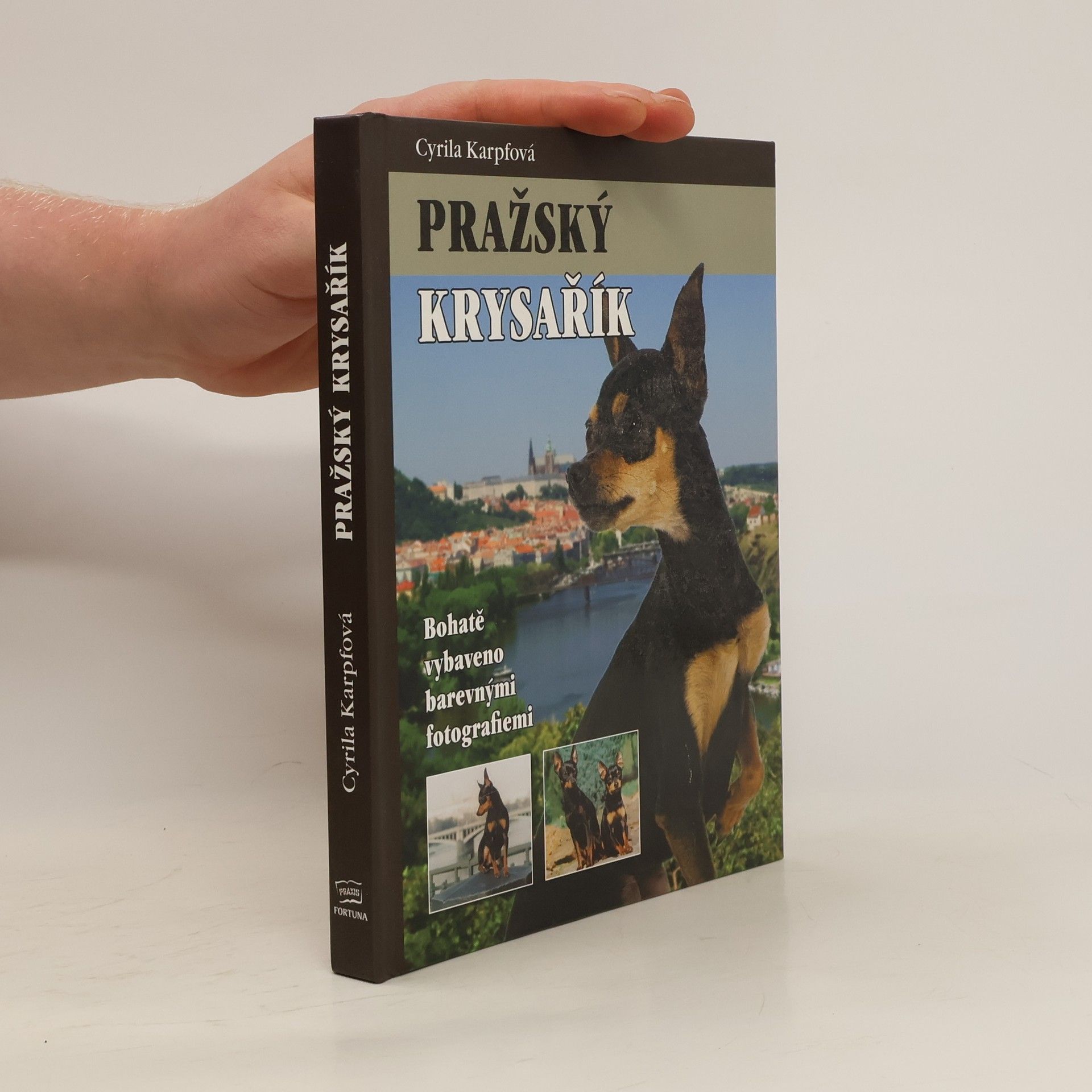 Cyrila Karpfová Pražský krysařík