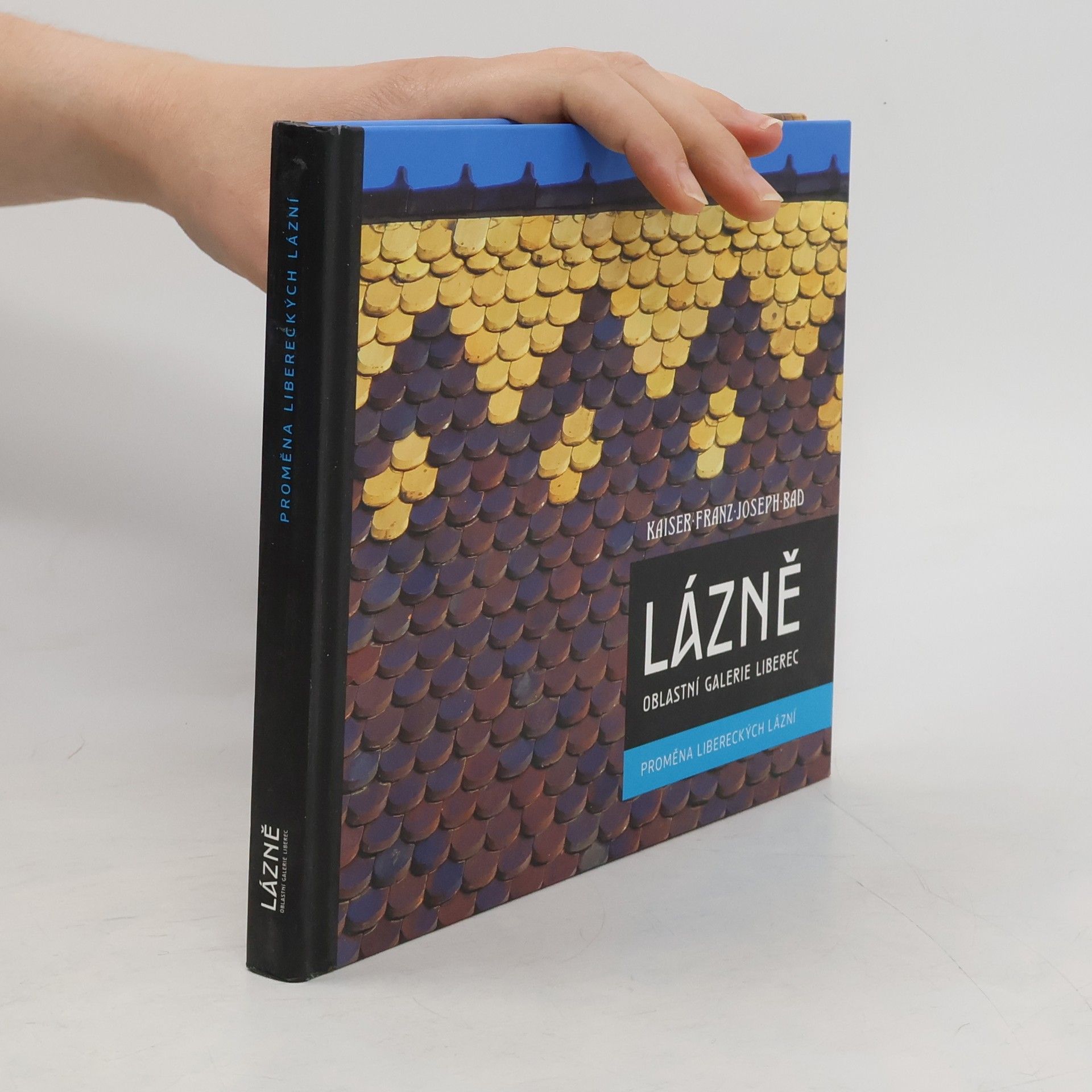 Jan Mohr Lázně - Oblastní galerie Liberec : proměna libereckých Lázní