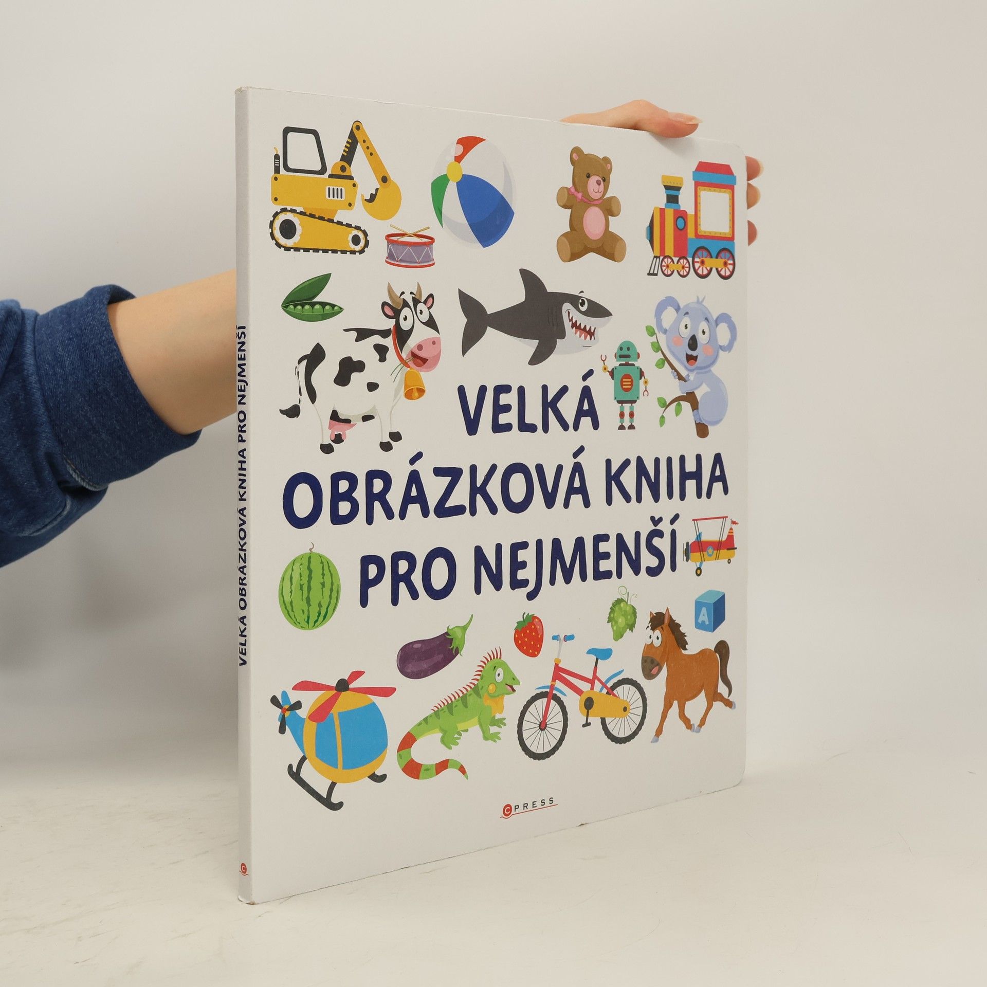 kolektiv Velká obrázková kniha pro nejmenší