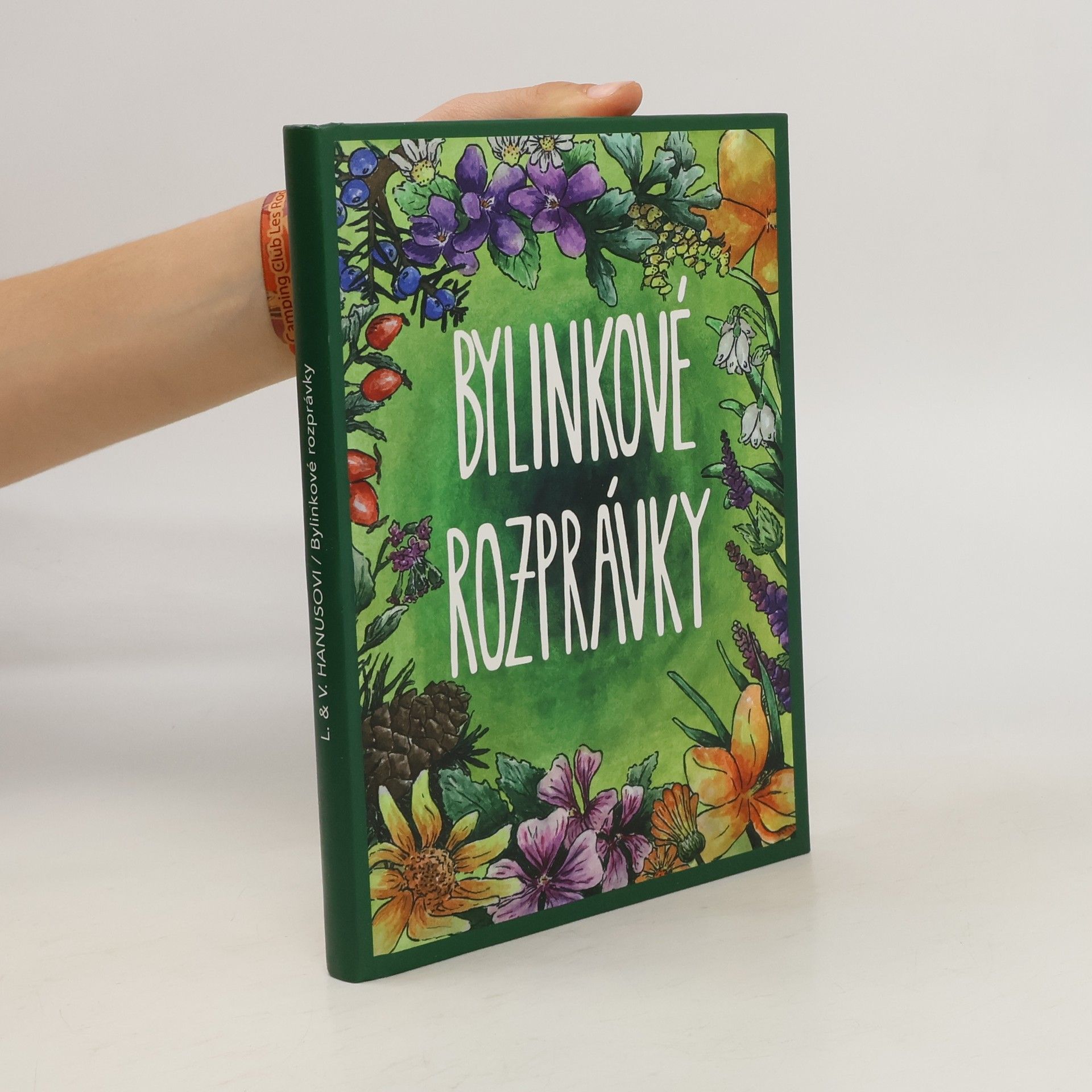 kolektiv Bylinkové rozprávky