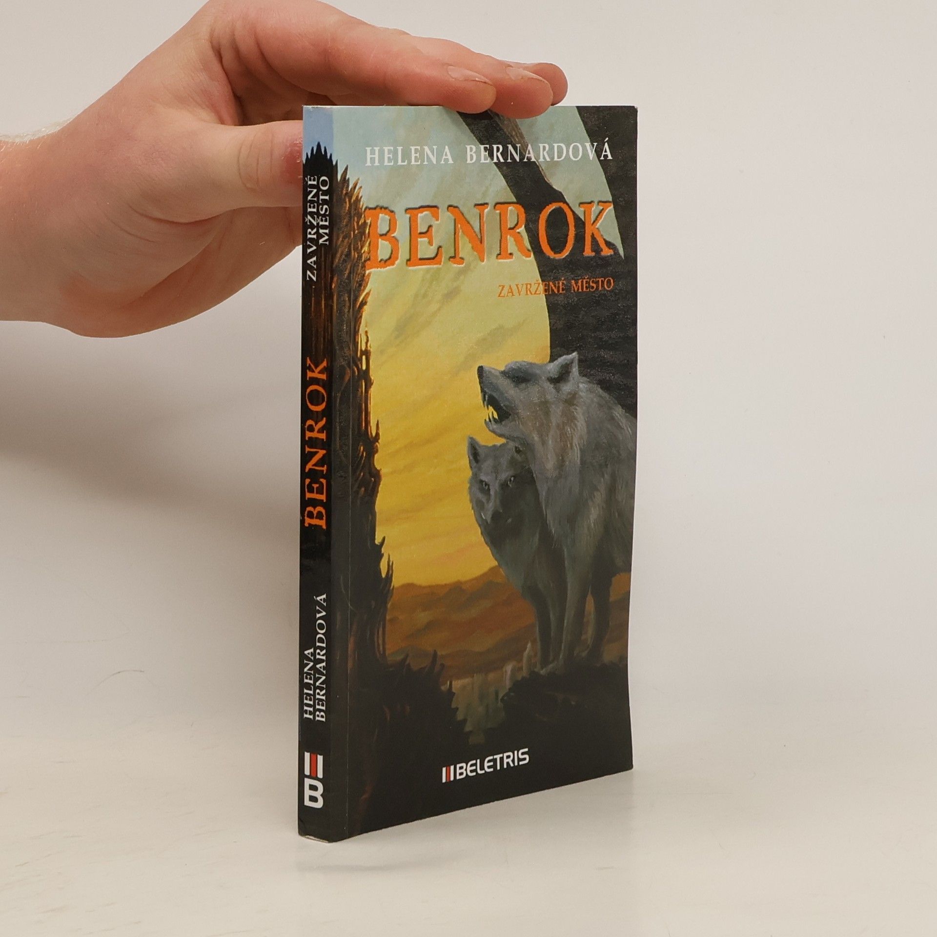 Helena Bernardová Benrok - Zavržené město