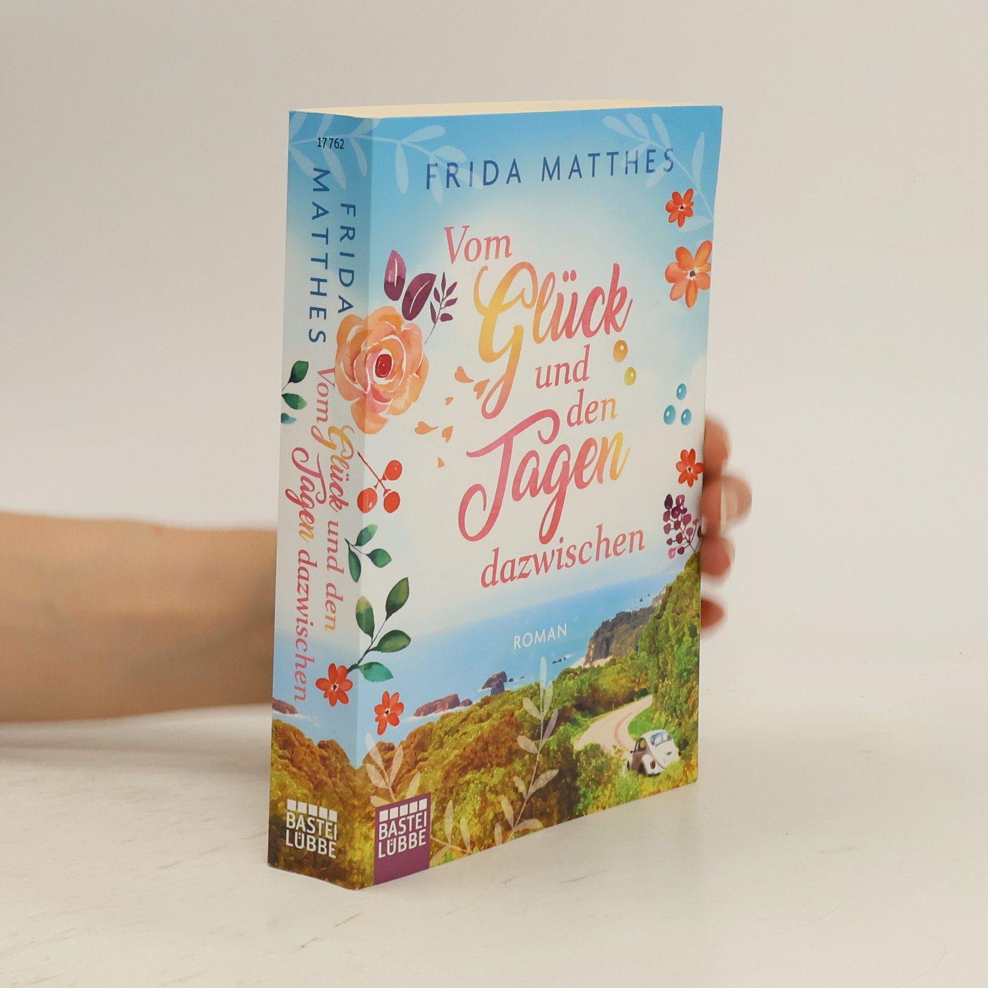 Frida Matthes Vom Glück und den Tagen dazwischen