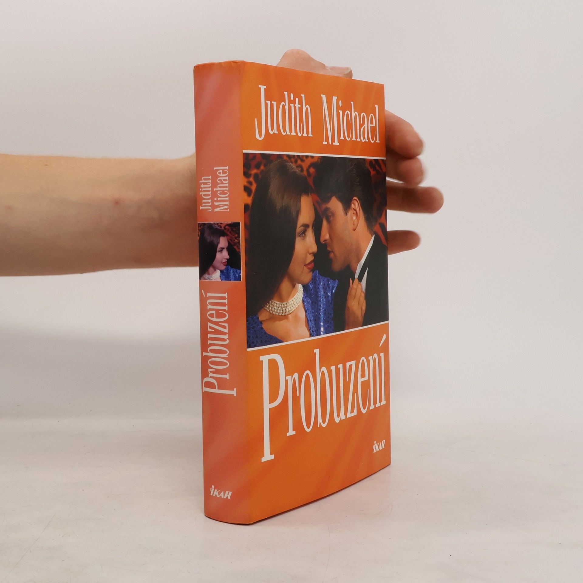 Judith Michael Probuzení