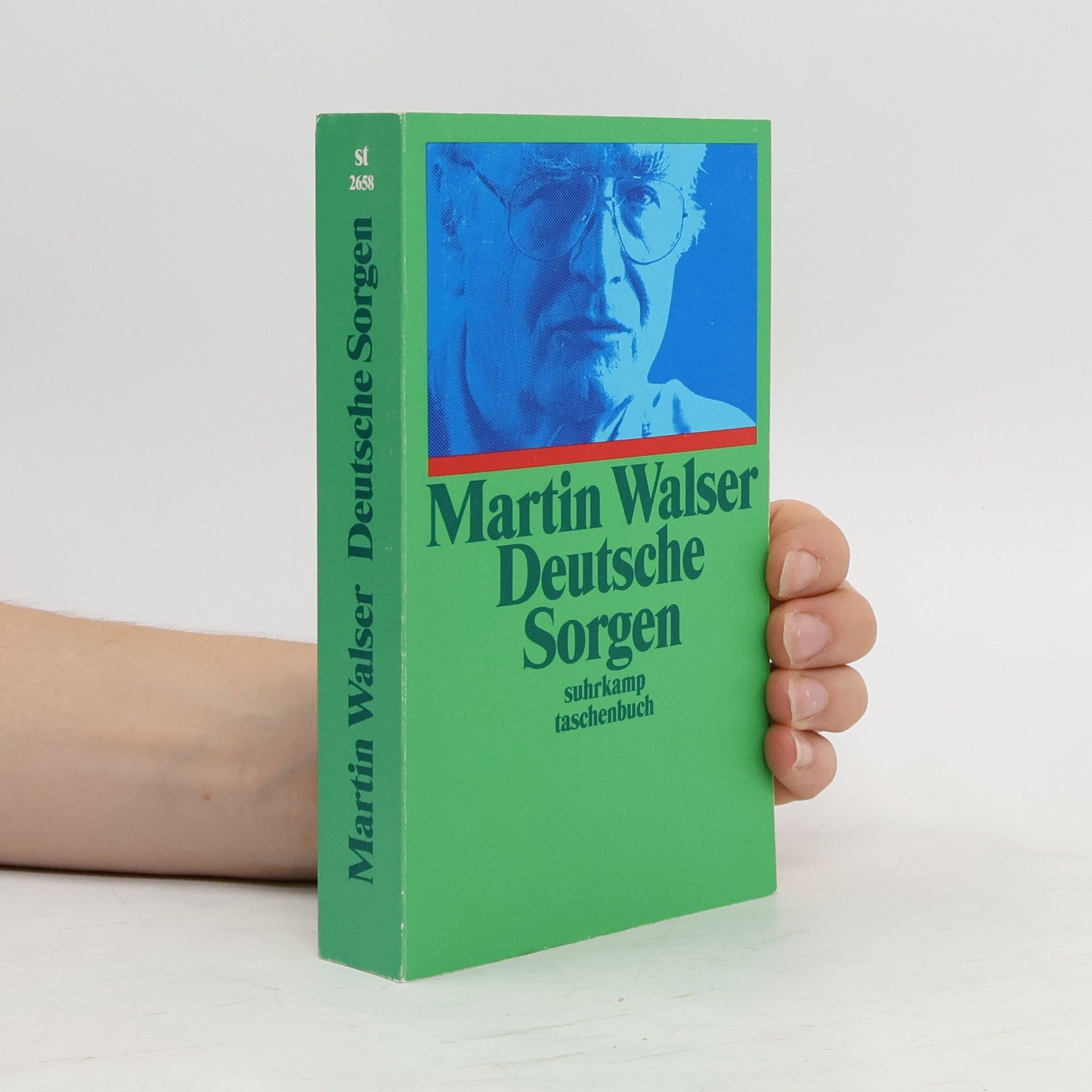 Martin Walser Deutsche Sorgen