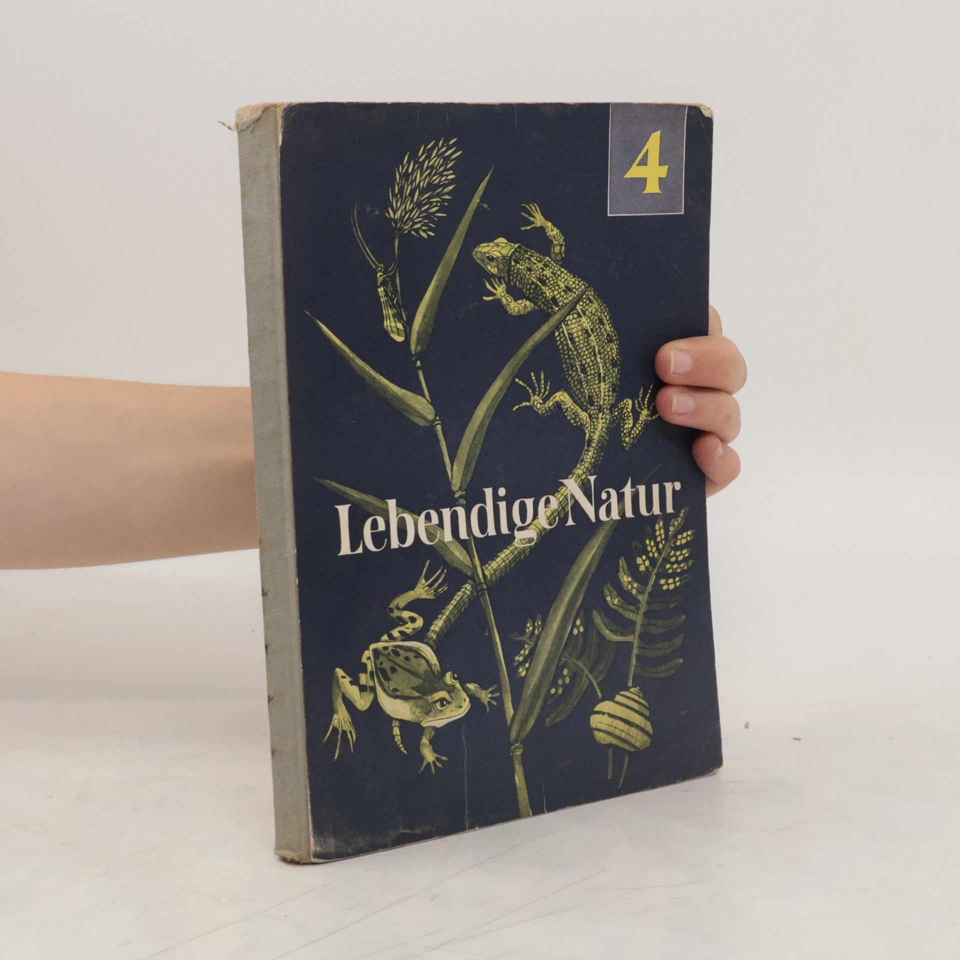Erich Stengel Lebendige Natur 4