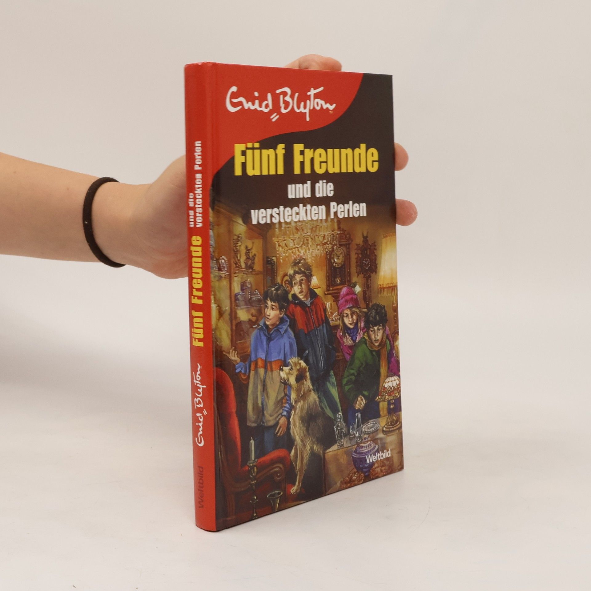 Enid Blyton Fünf Freunde und die verstecken Perlen