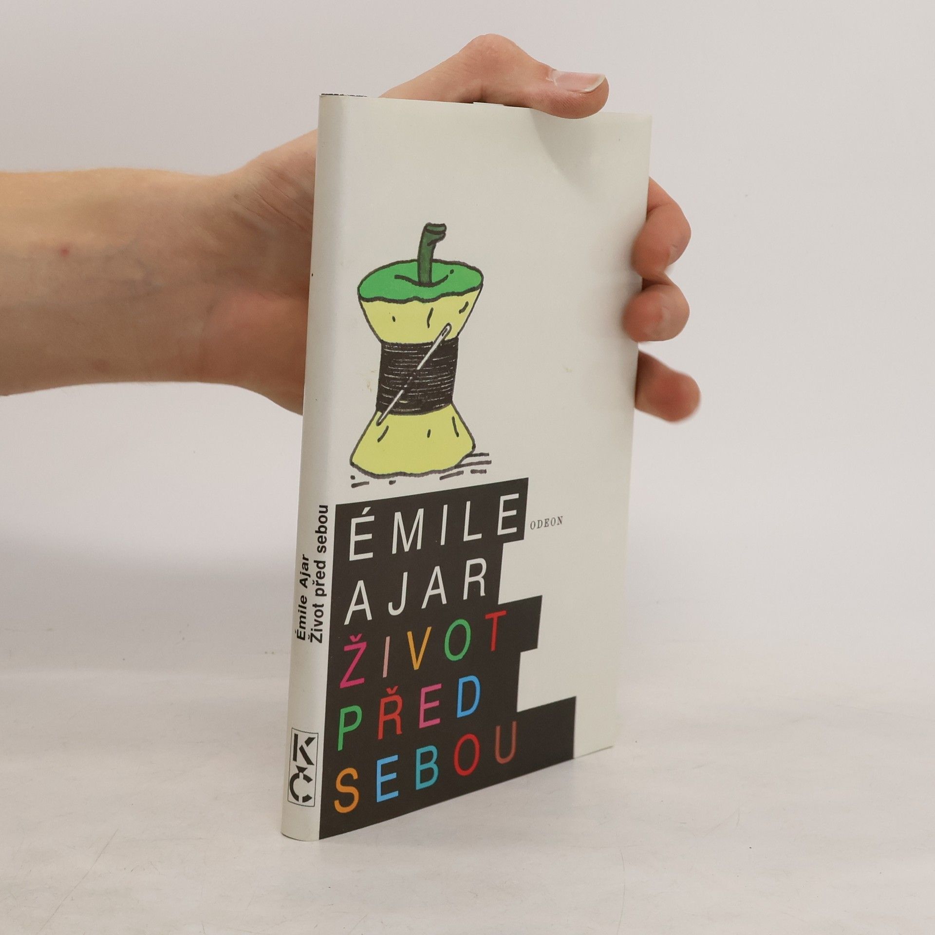 Romain Gary Život před sebou