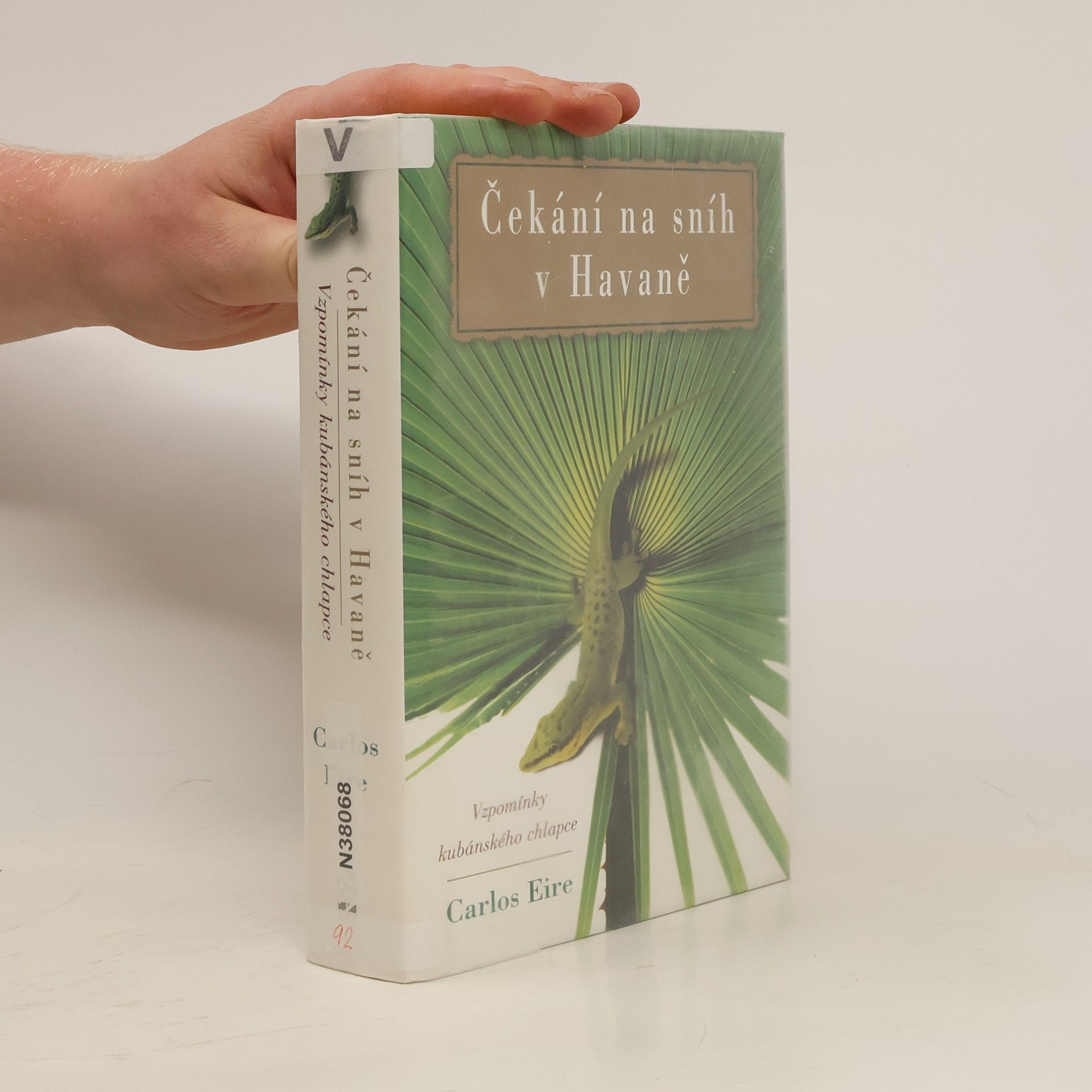 Carlos Eire Čekání na sníh v Havaně