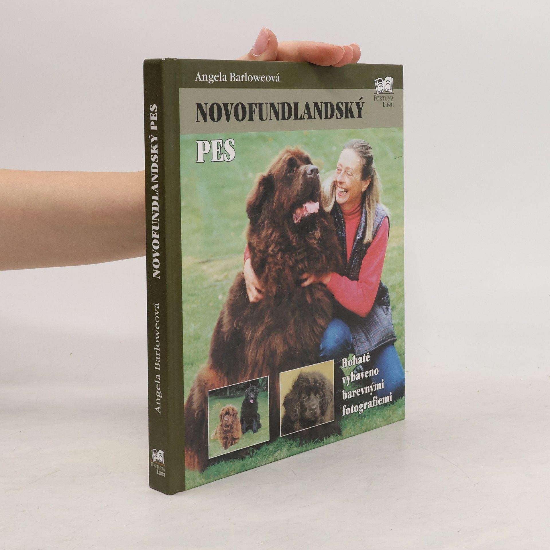 Angela Barlowe Novofundlandský pes