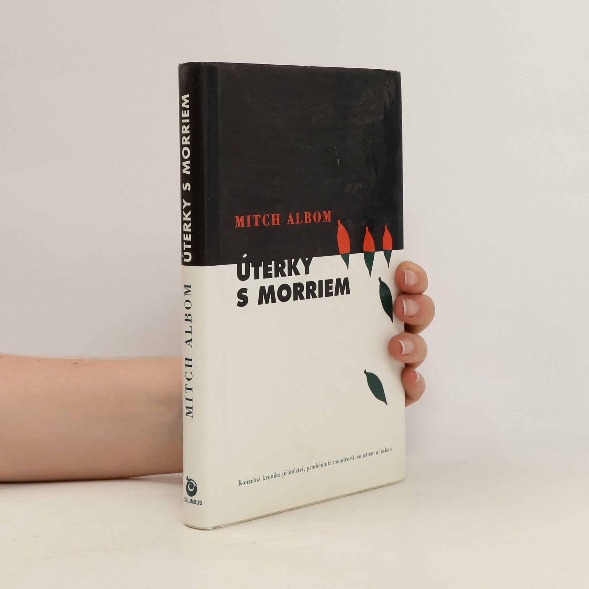 Mitch Albom Úterky s Morriem