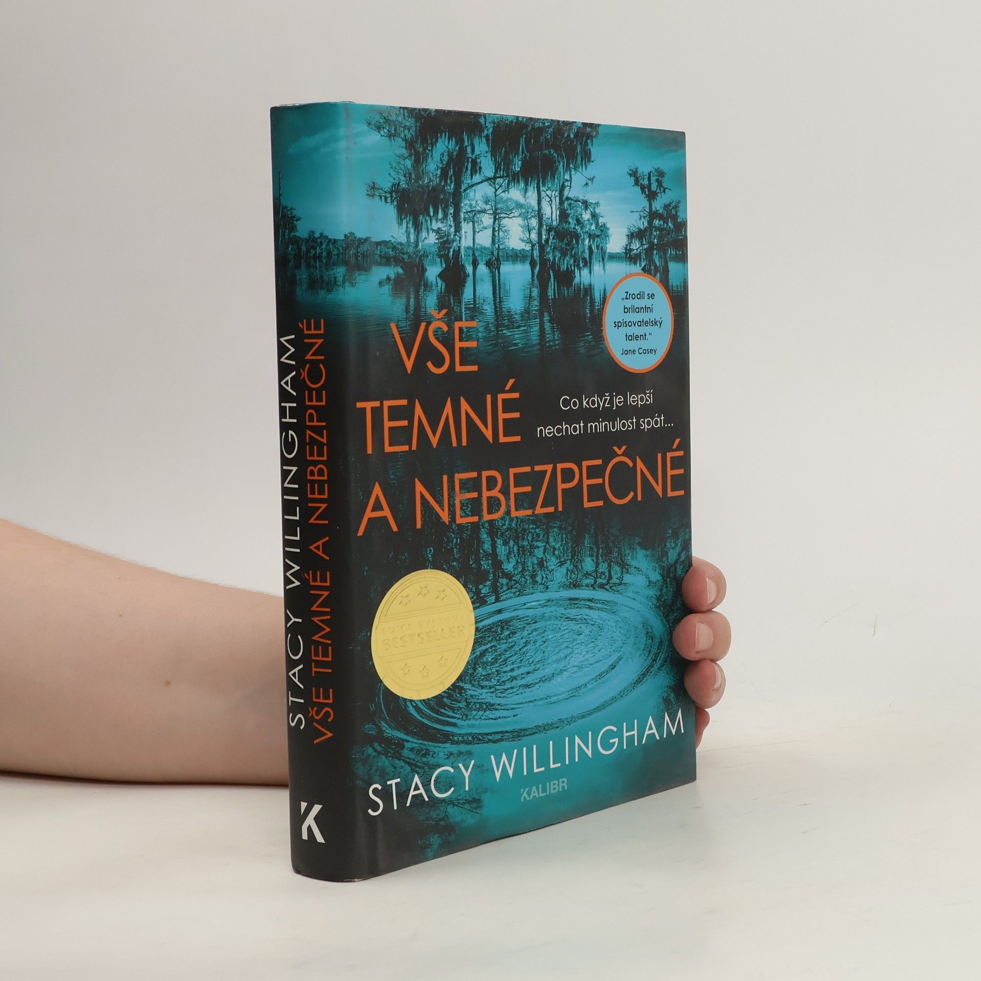 Stacy Willingham Vše temné a nebezpečné