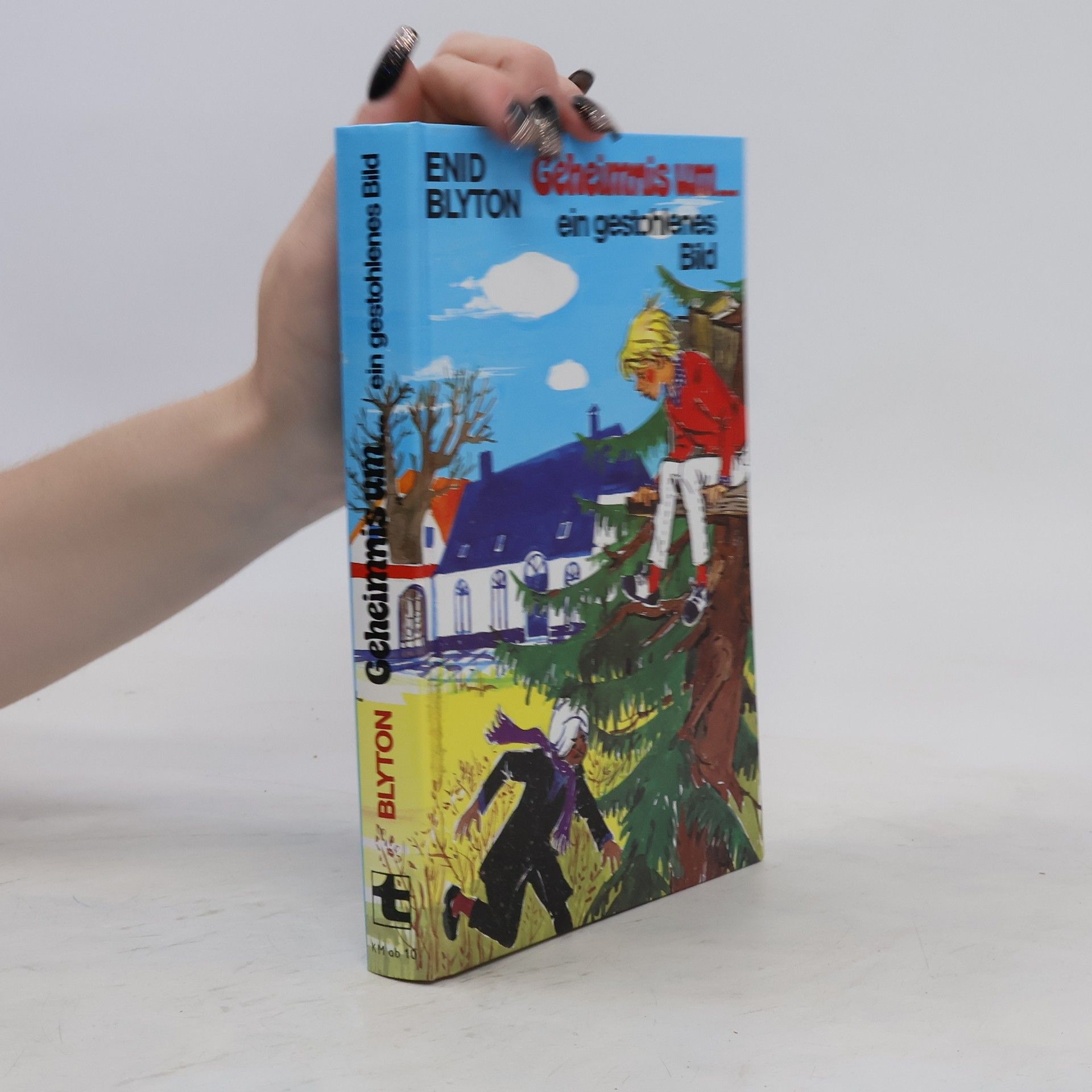 Enid Blyton Geheimnis um ein gestohlenes Bild