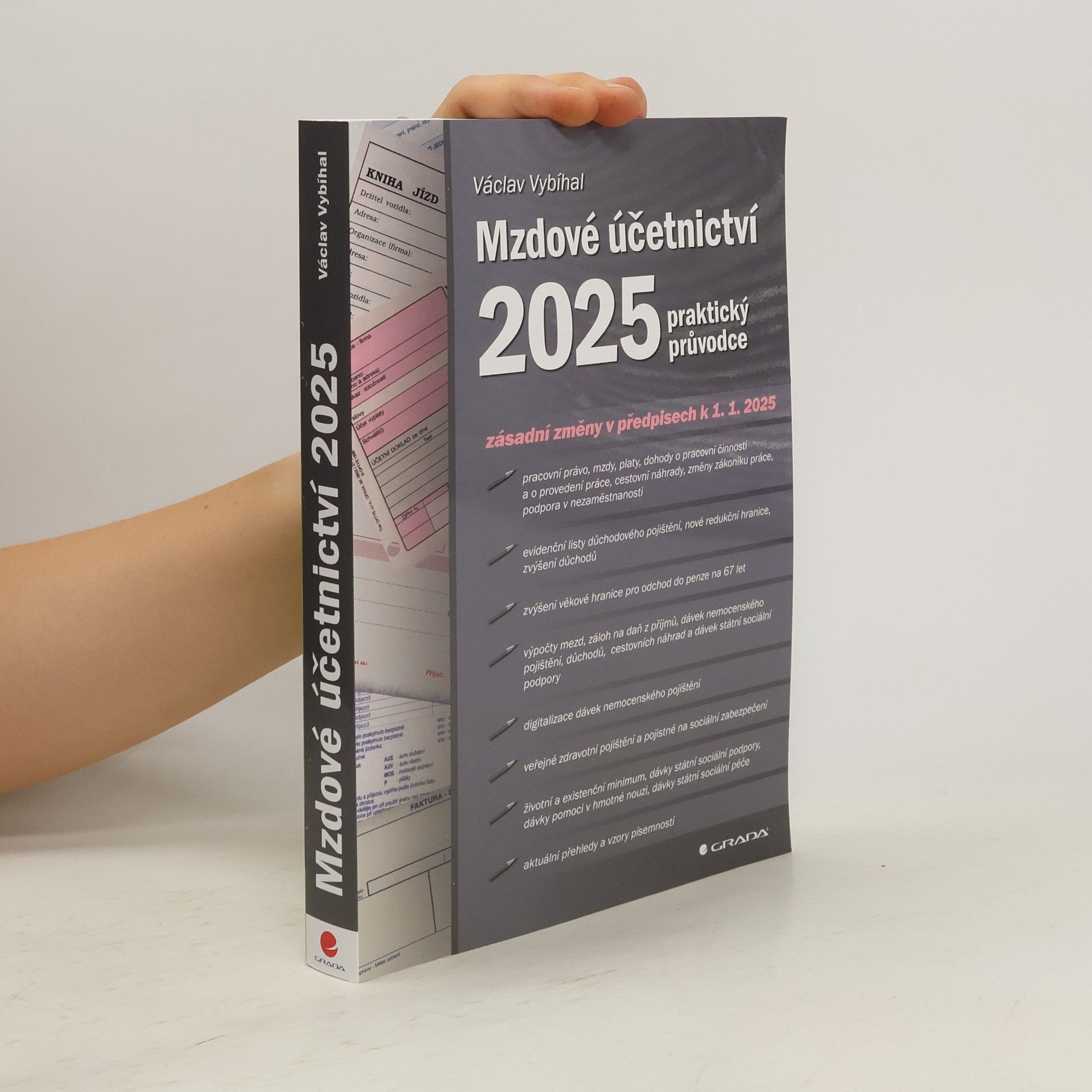 Václav Vybíhal Mzdové účetnictví 2025 : praktický průvodce