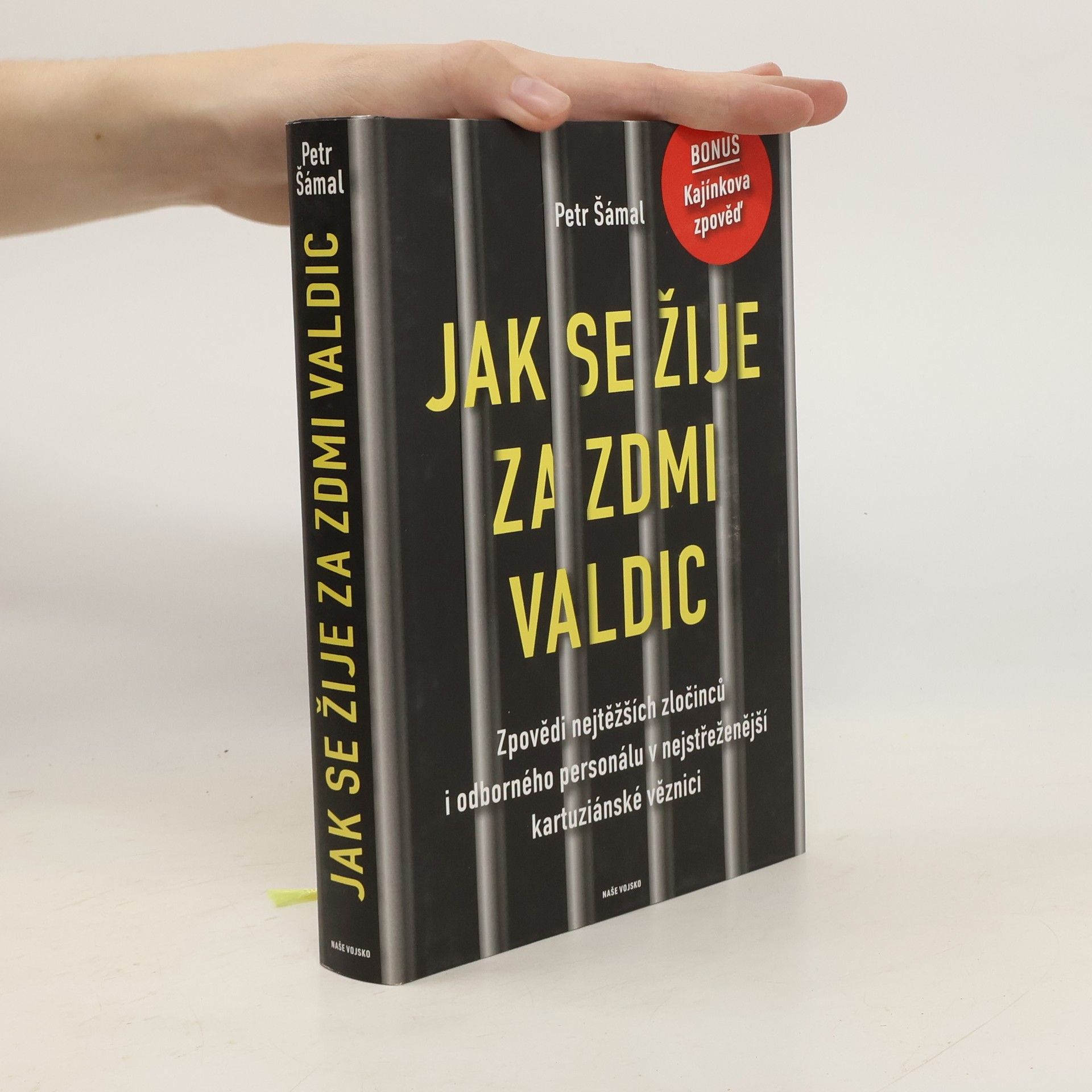 Petr Šámal Jak se žije za zdmi Valdic: Zpovědi nejtěžších zločinců i odborného personálu v nejstřeženější kartuziánské věznici