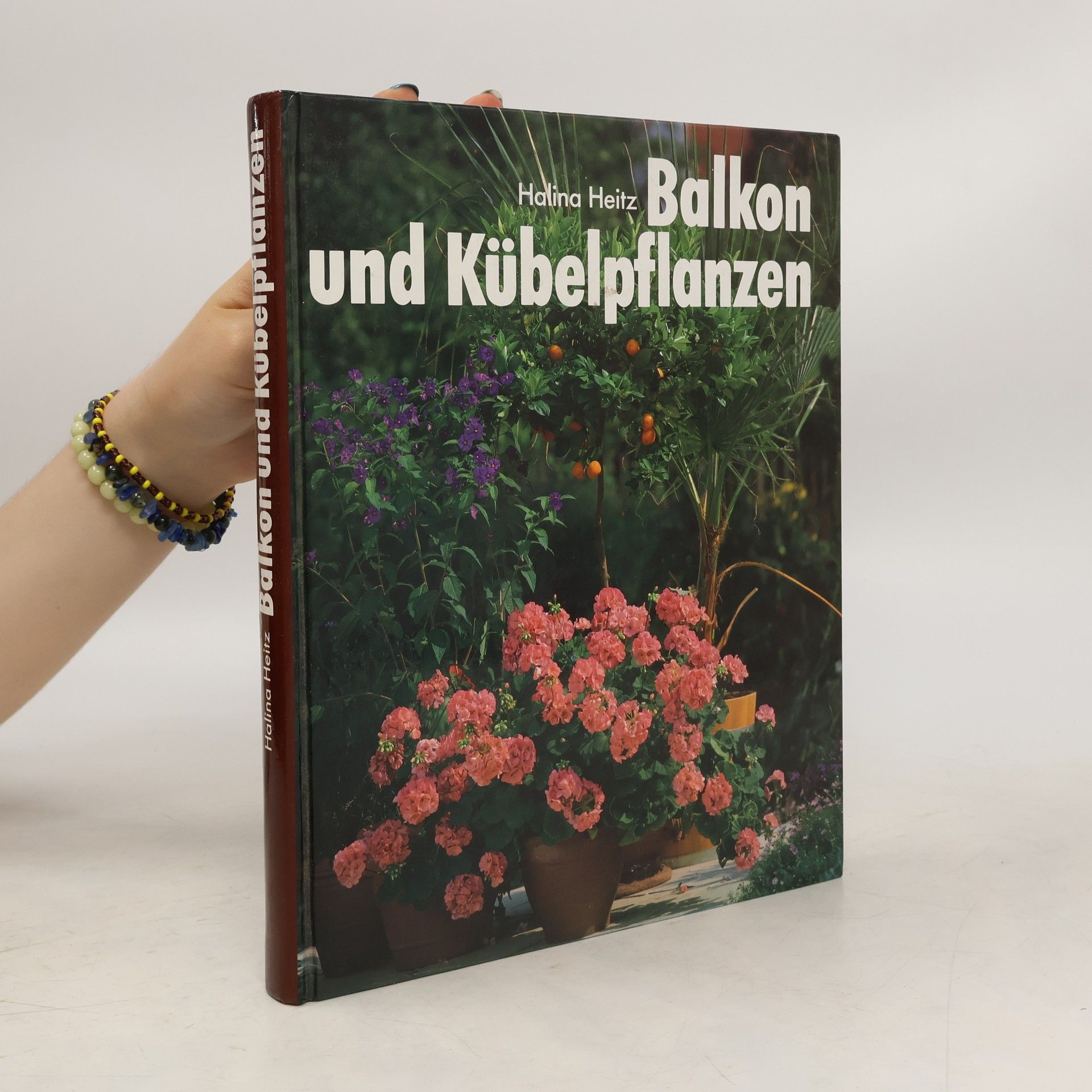 Halina Heitz Balkon und Kübelpflanzen