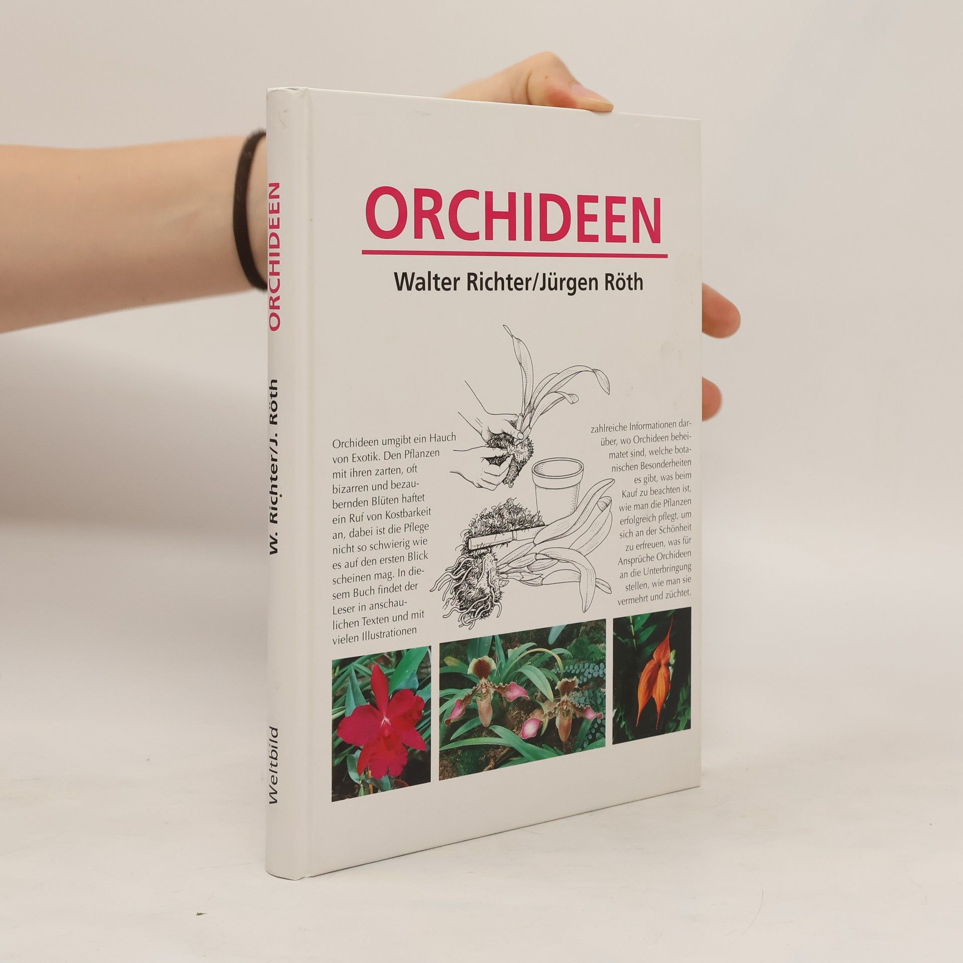 Walter Richter Orchideen