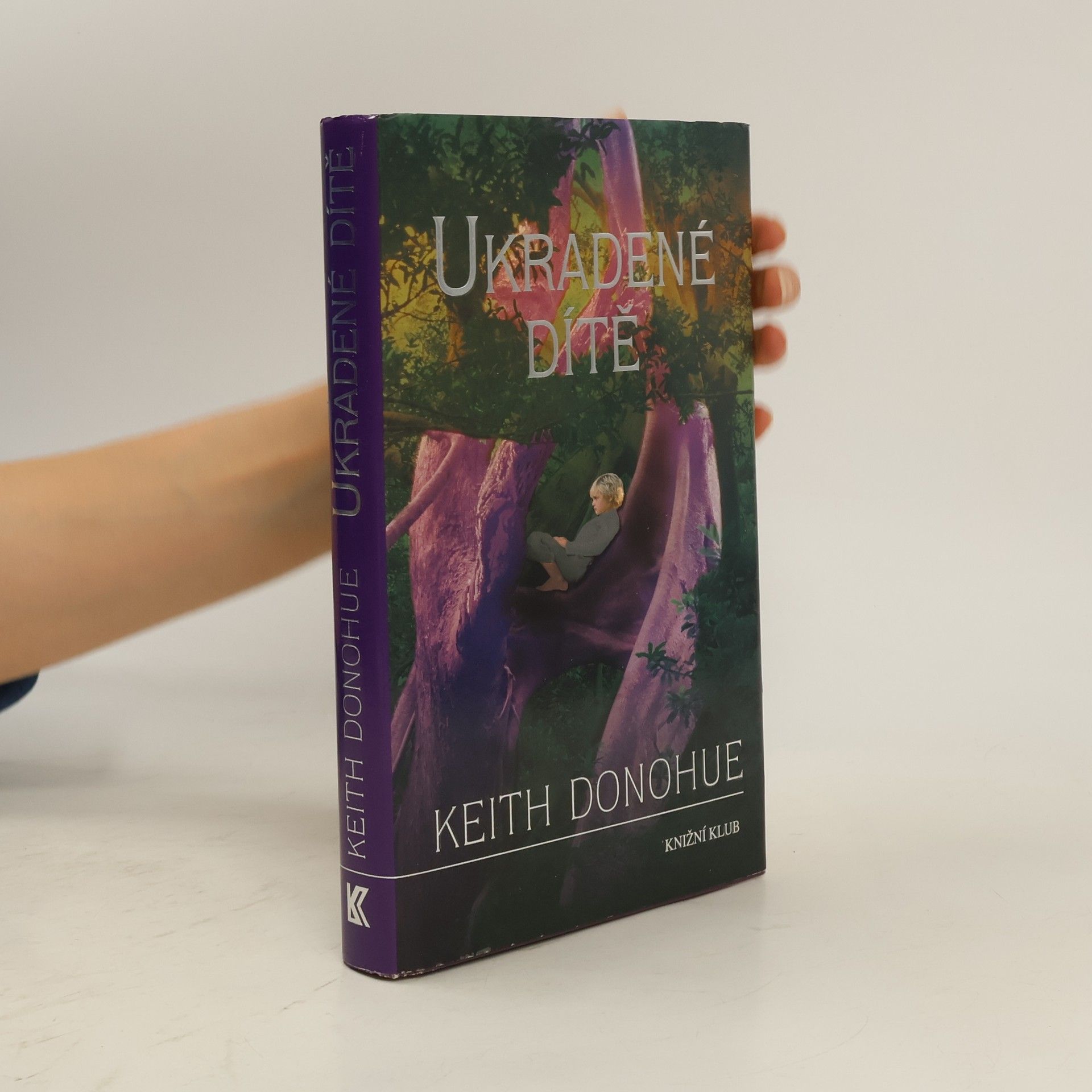 Keith Donohue Ukradené dítě