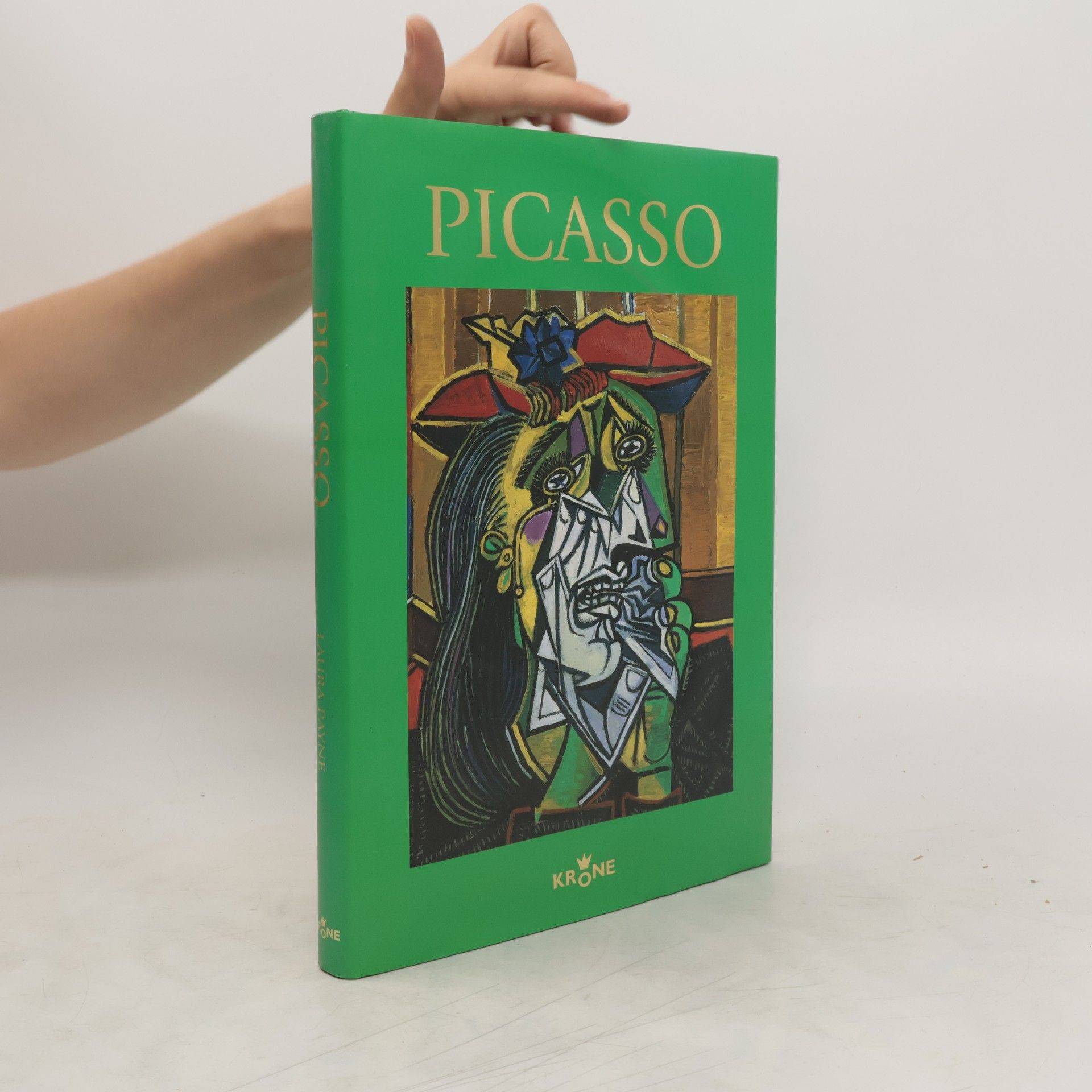 Laura Payne Picasso
