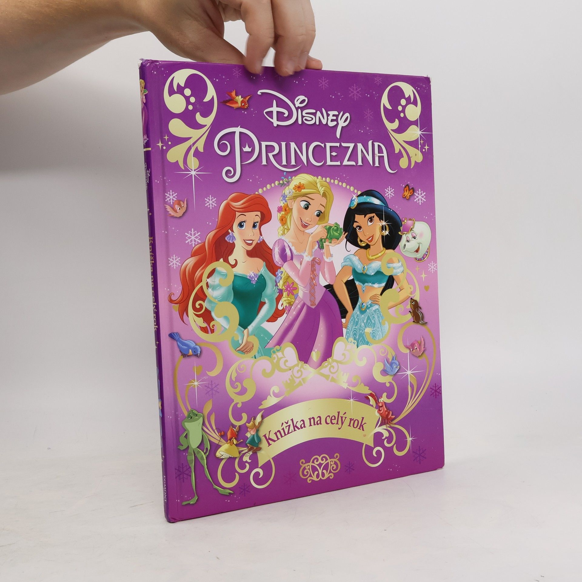 Walt Disney Princezna - Knížka na celý rok