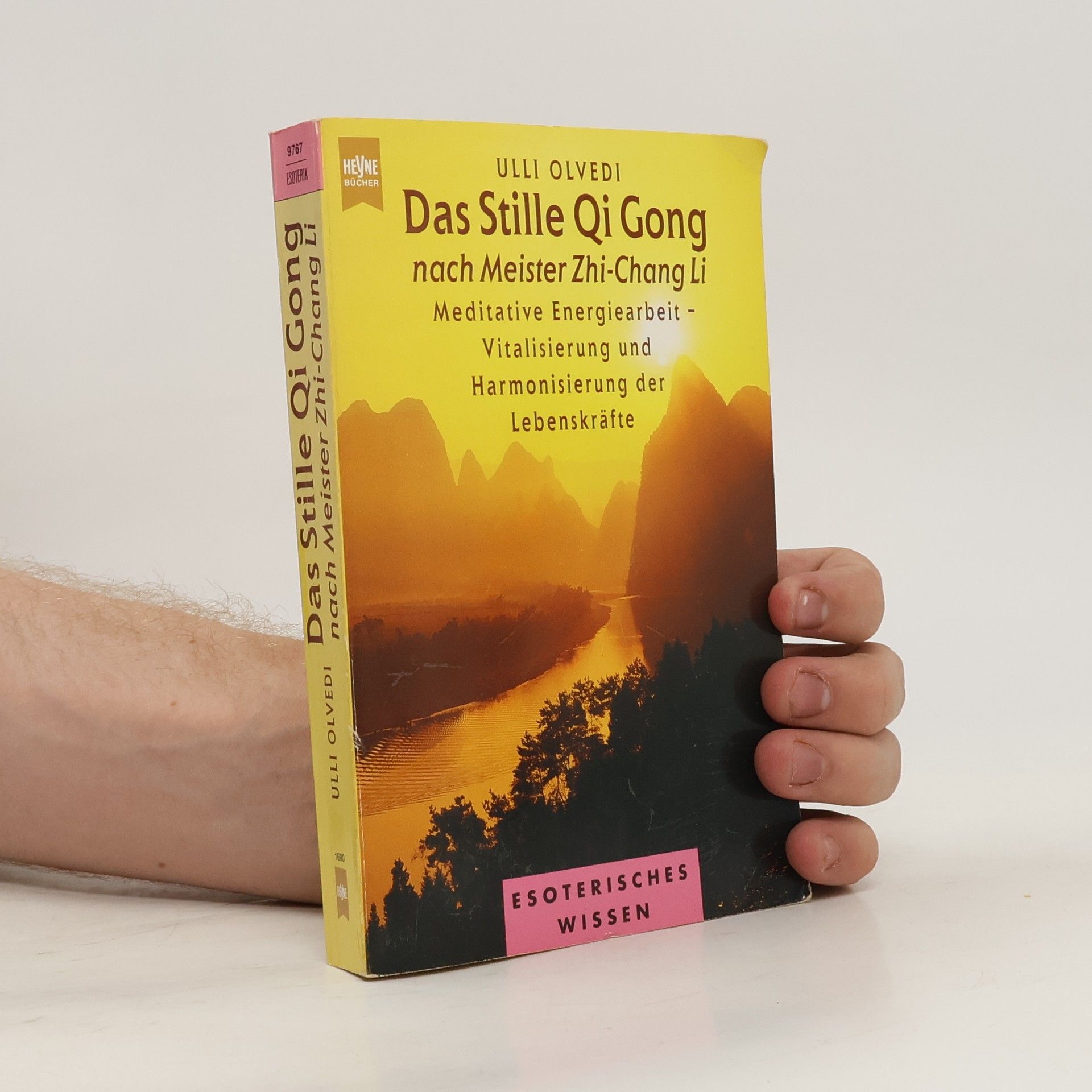 Ulli Olvedi Yi-Qi-gong, das stille Qi-gong nach Meister Zhi-Chang Li