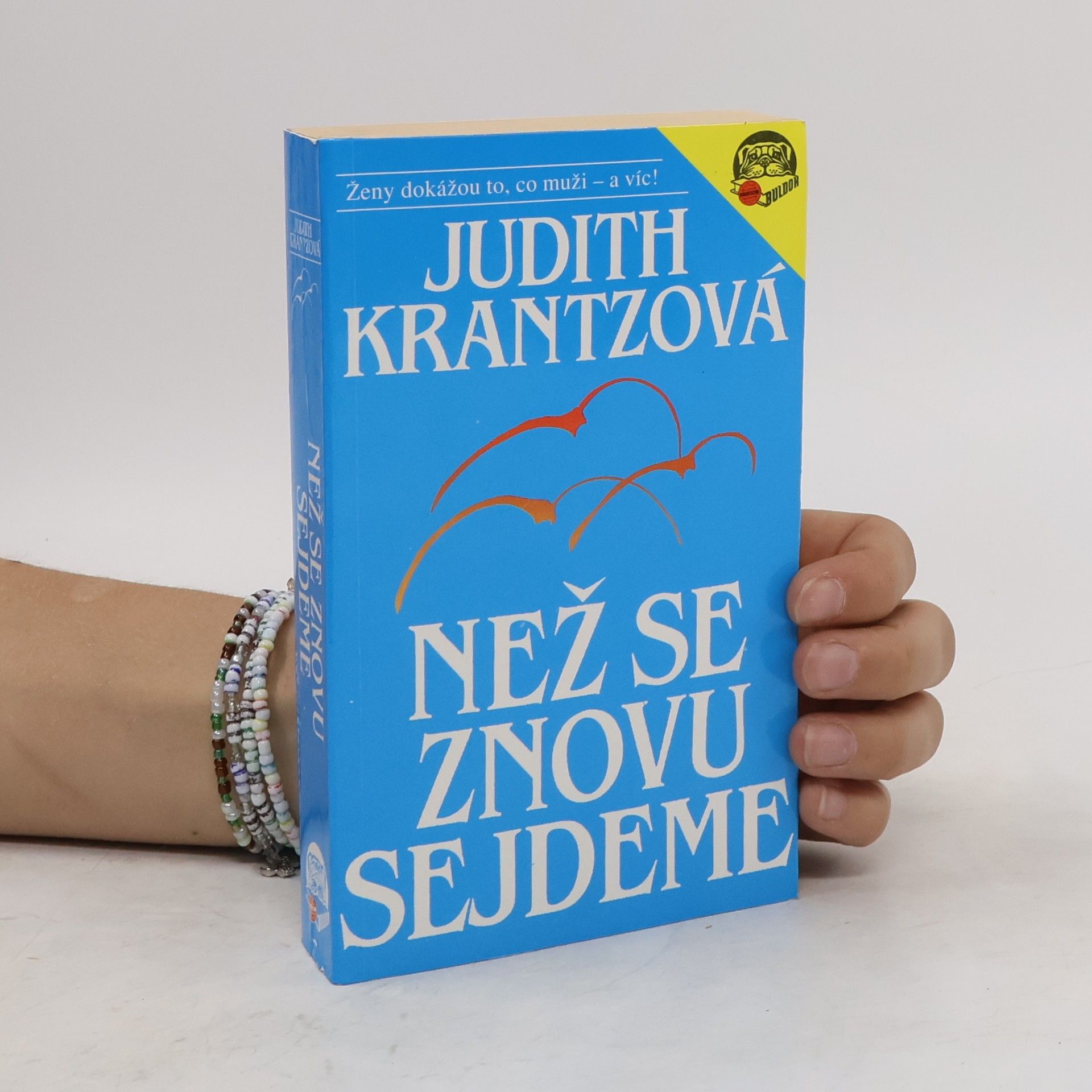 Judith Krantz Než se znovu sejdeme