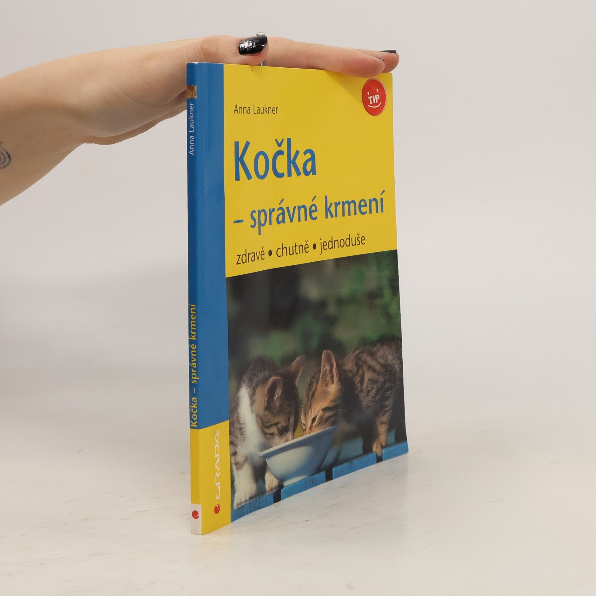 Kočka - správné krmení : zdravě, chutně, jednoduše