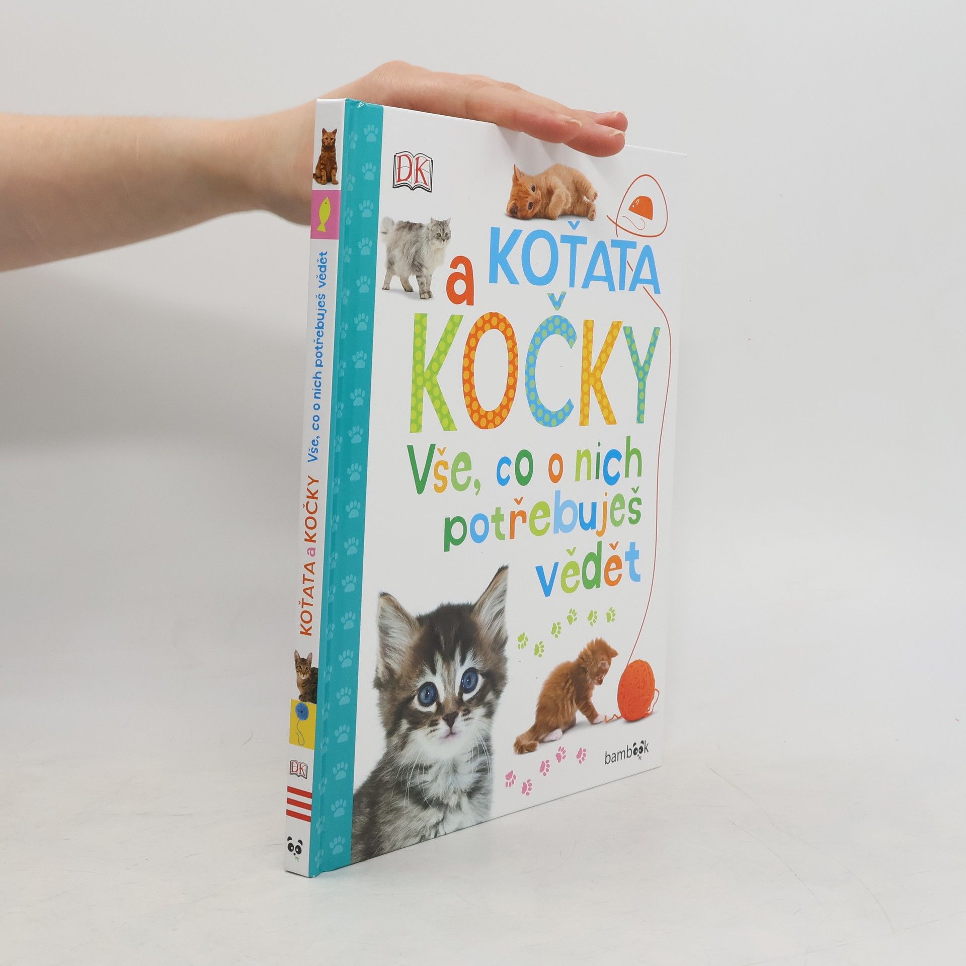 Andrea Mills Koťata a kočky – Vše, co o nich potřebuješ vědět