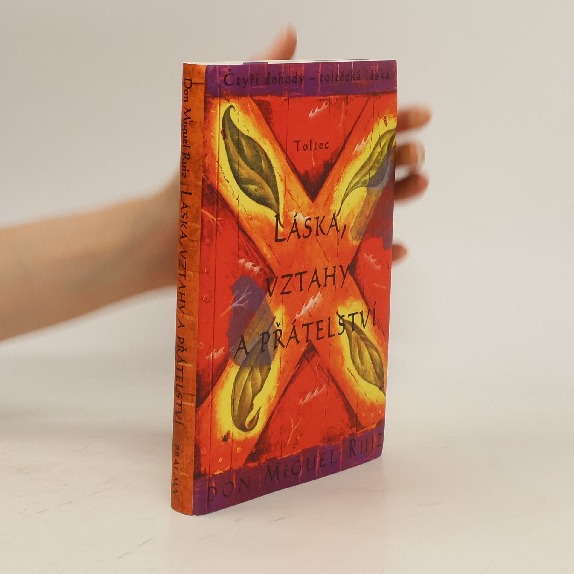 Don Miguel Ruiz Láska, vztahy a přátelství