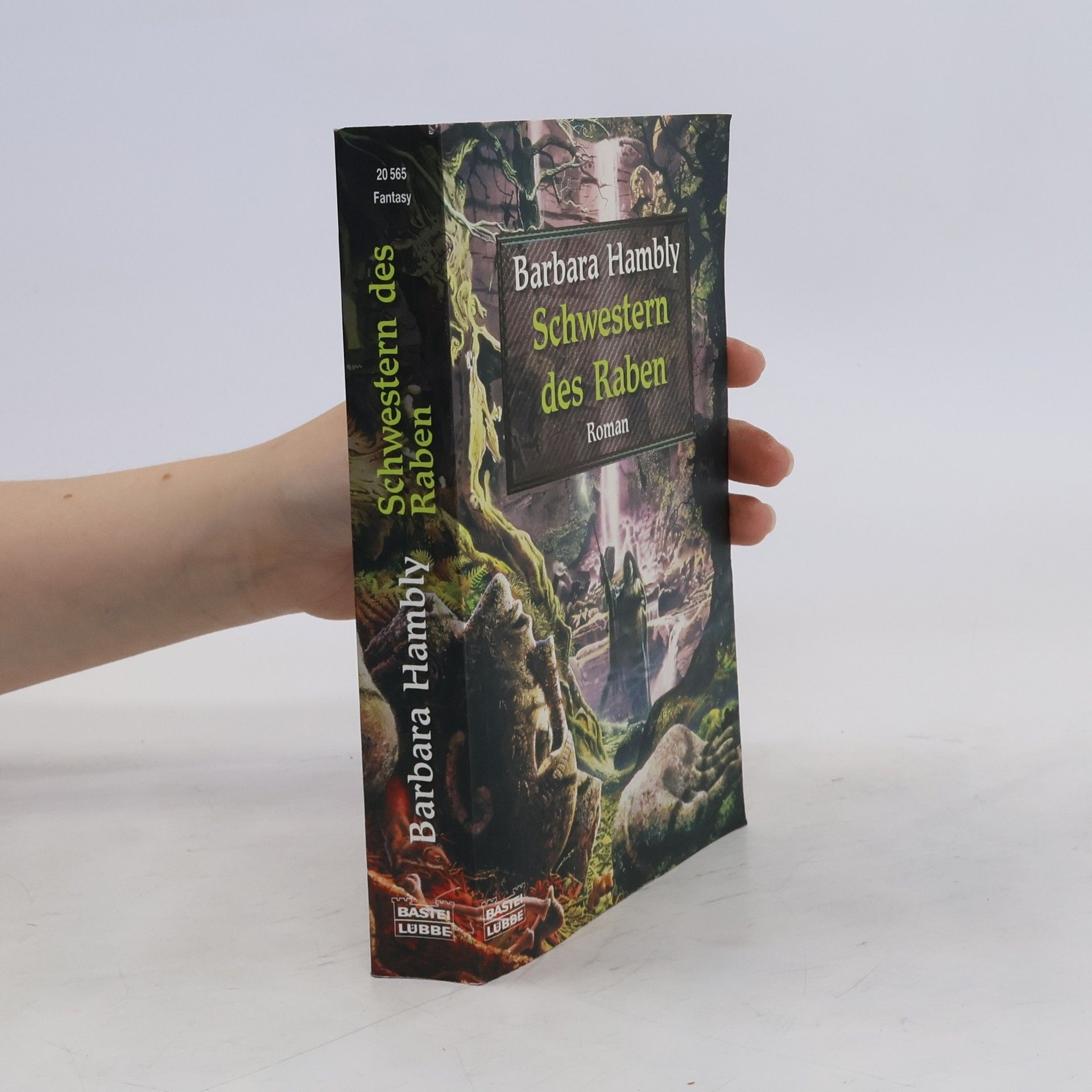 Barbara Hambly Schwestern des Raben