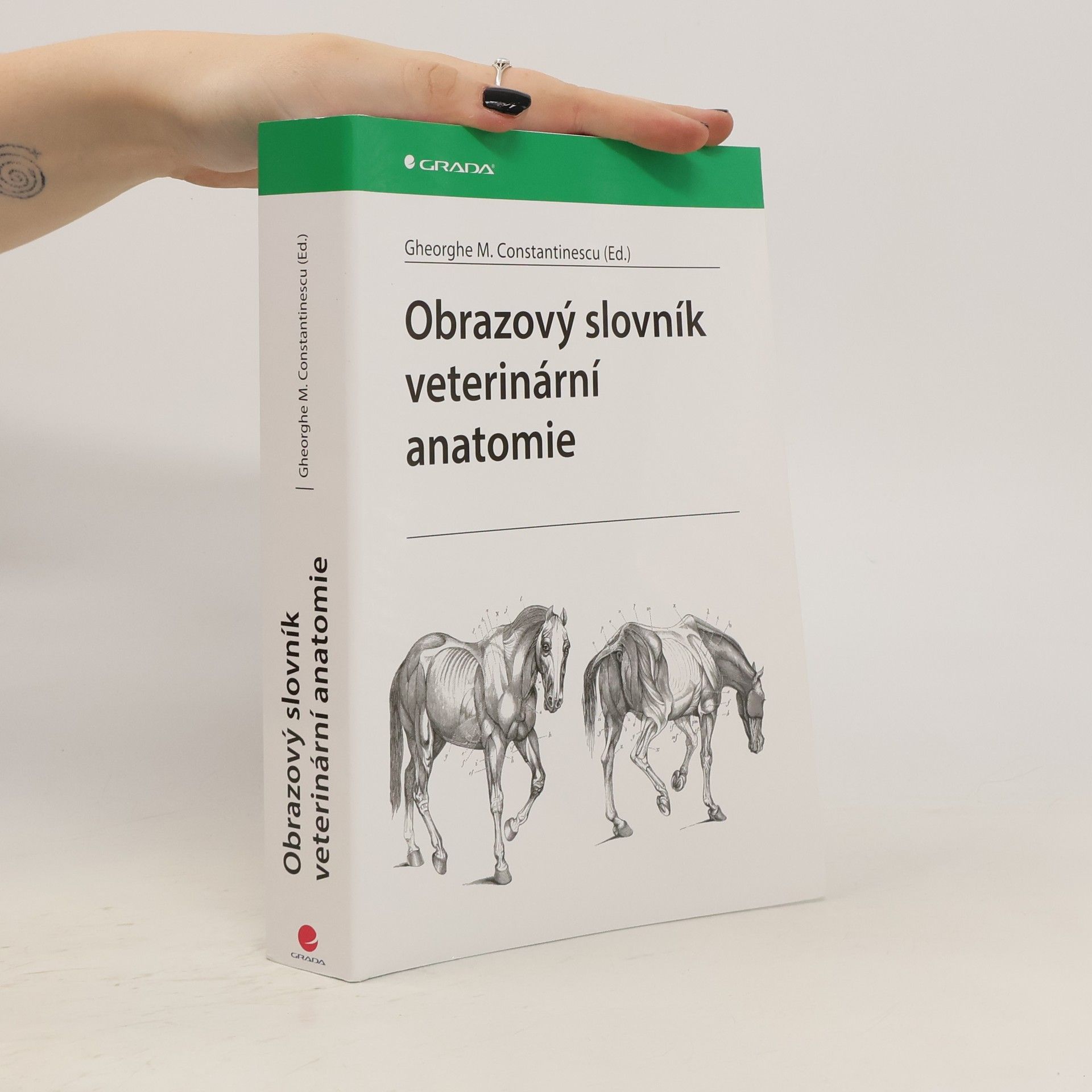 Gheorghe M. Constantinescu Obrazový slovník veterinární anatomie