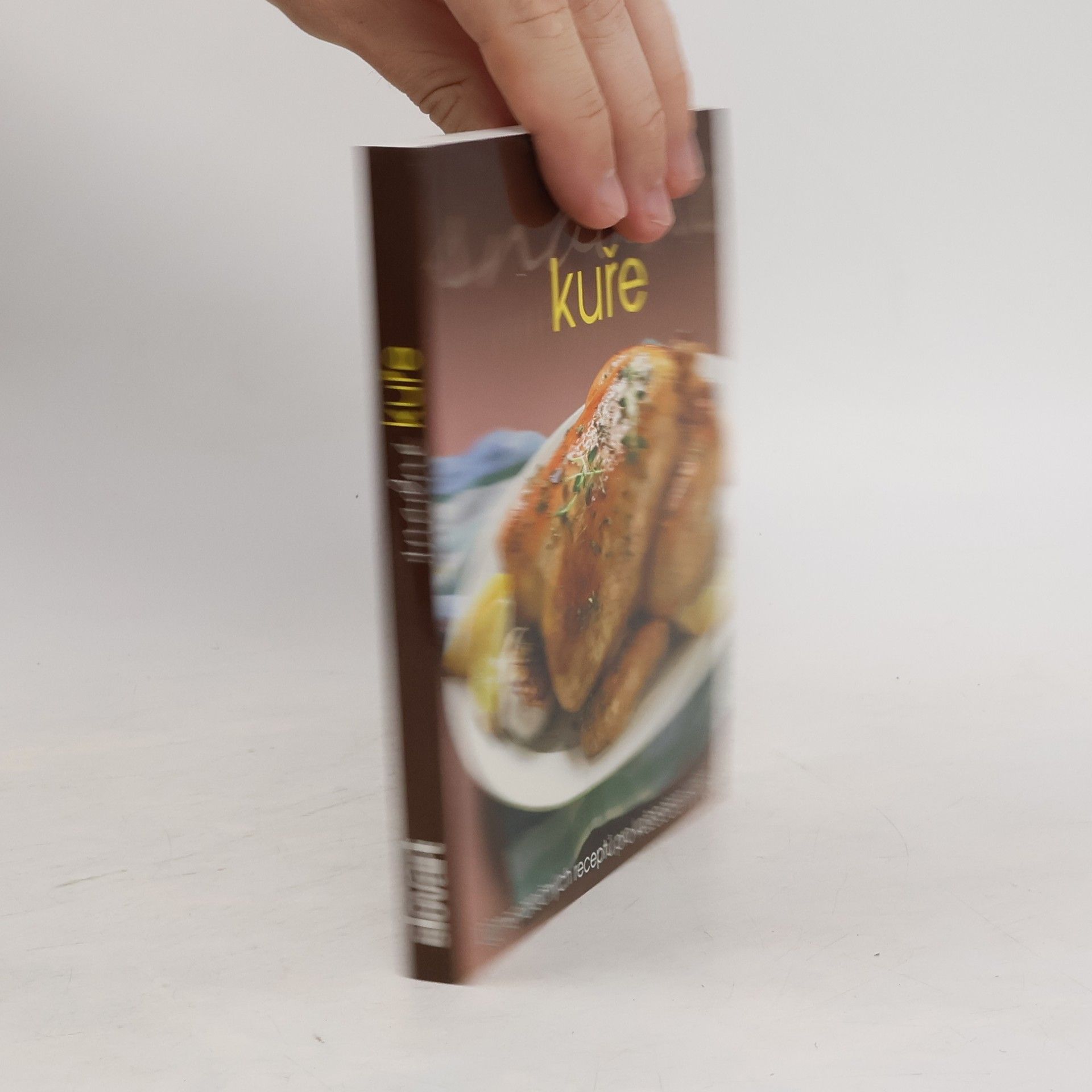 Autorenkollektiv Snadné kuře