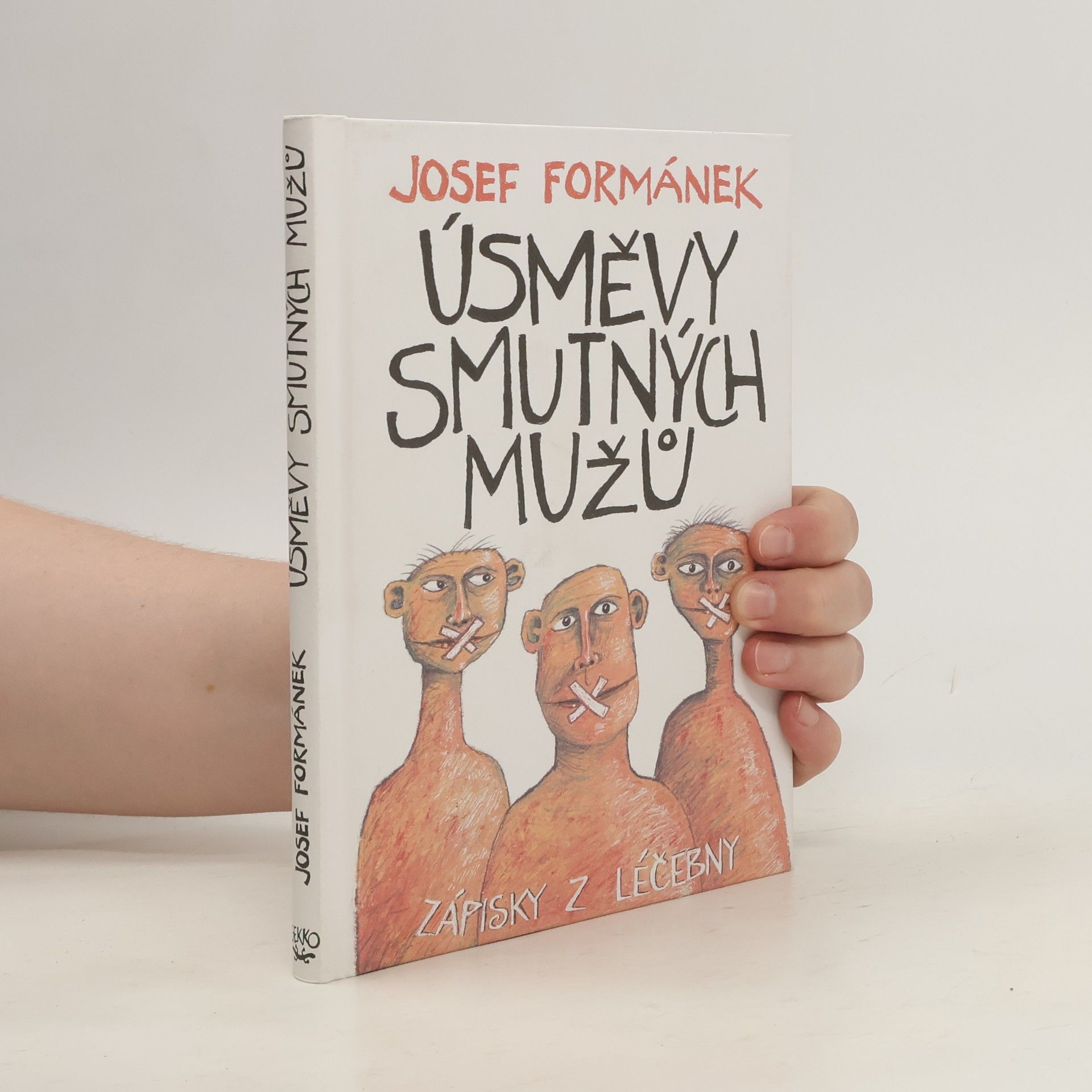 Úsměvy smutných mužů. Zápisky z léčebny