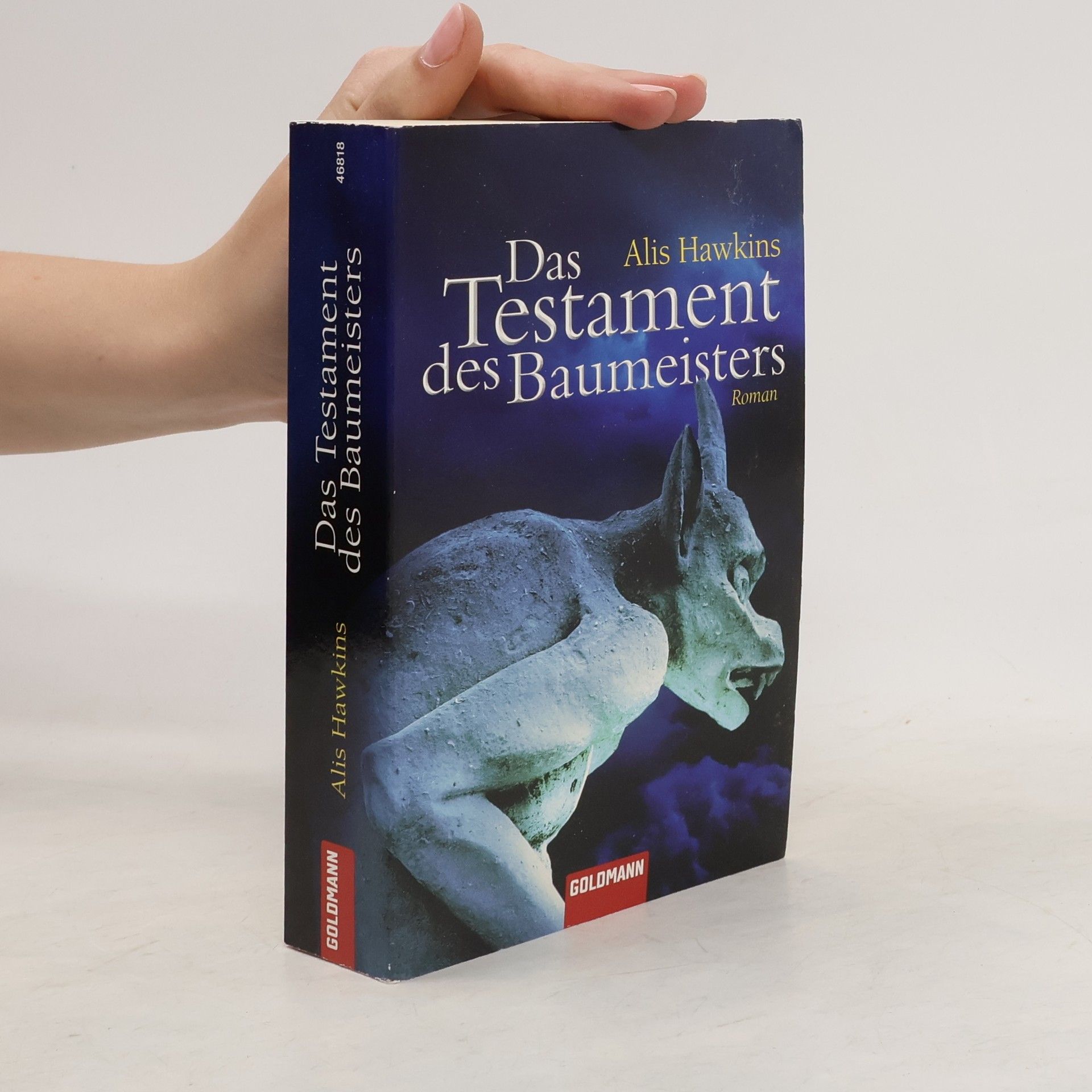 Alis Hawkins Das Testament des Baumeisters