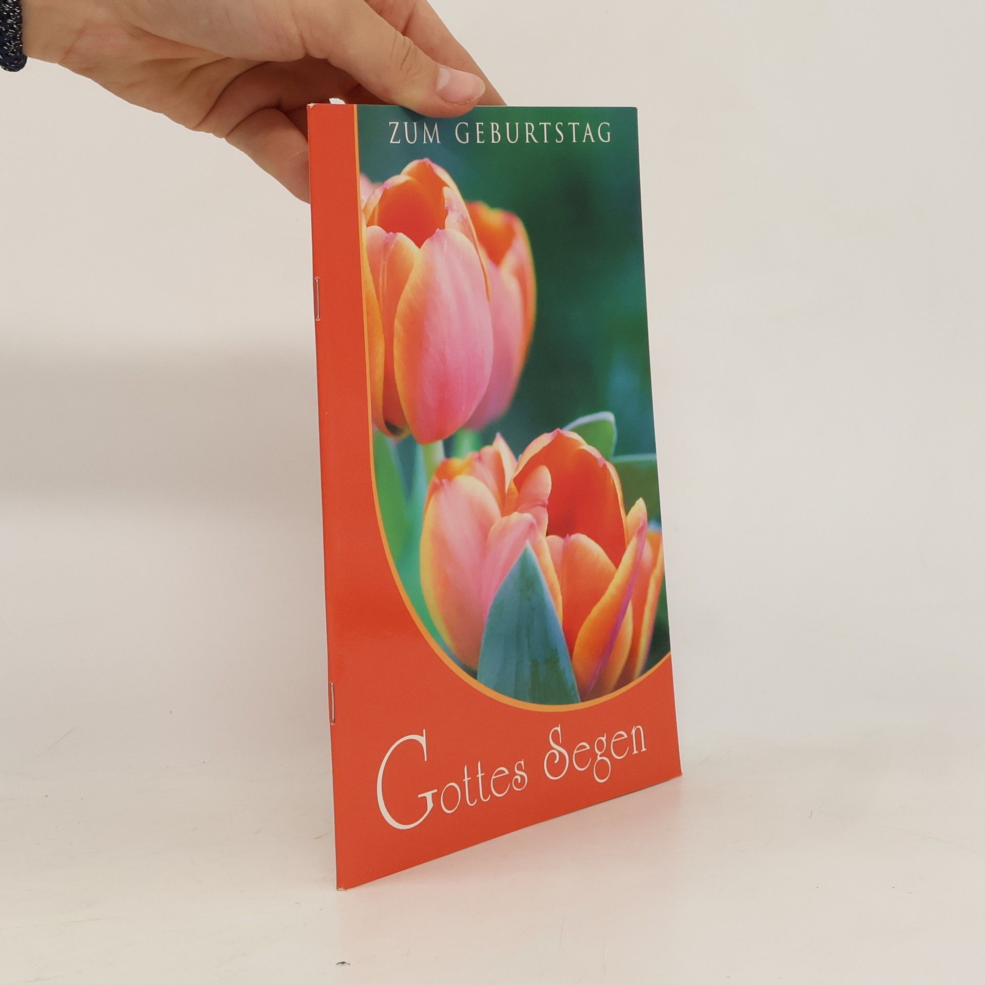 Kolektiv autorů Gottes Segen zum Geburtstag