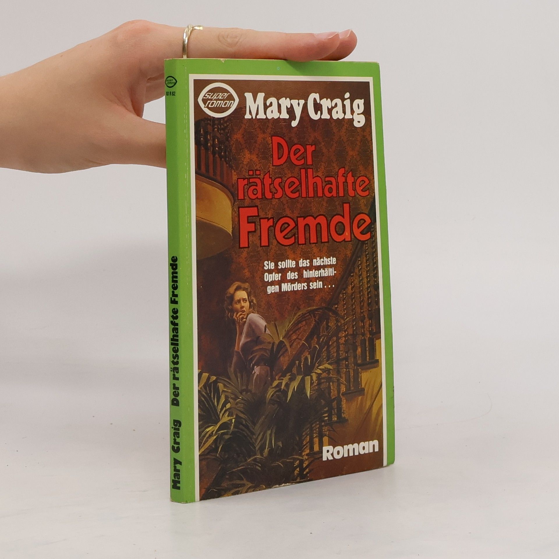 Mary Craig Der rätselhafte Fremde